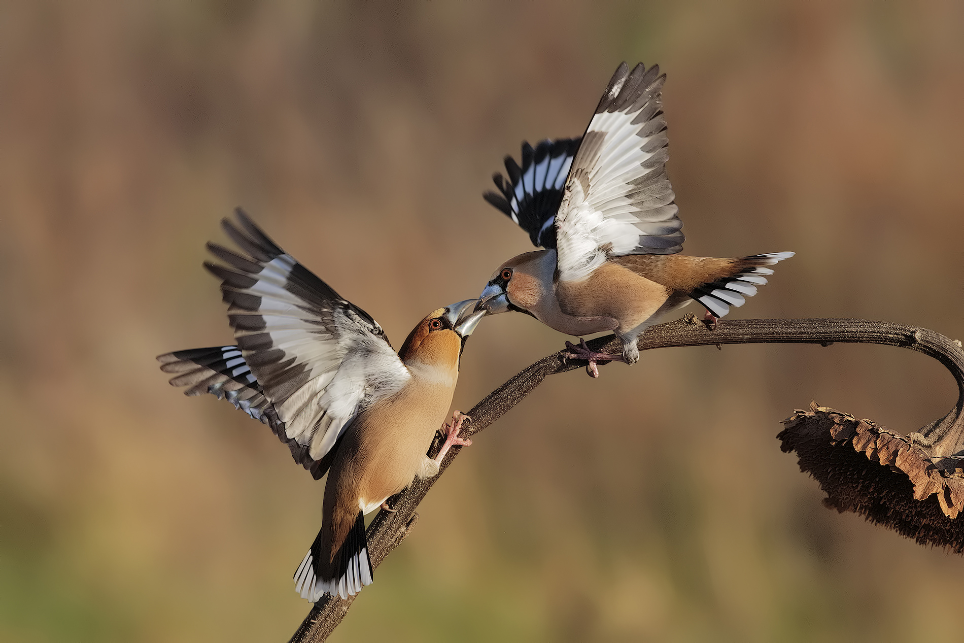 struggles raging ...