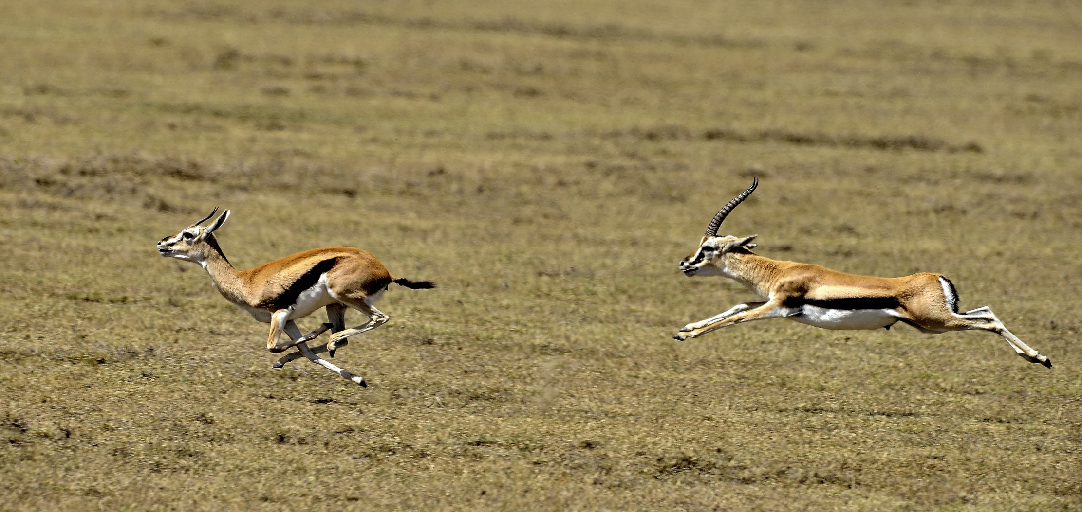 Tanzania 2015 - Ti voglio!!