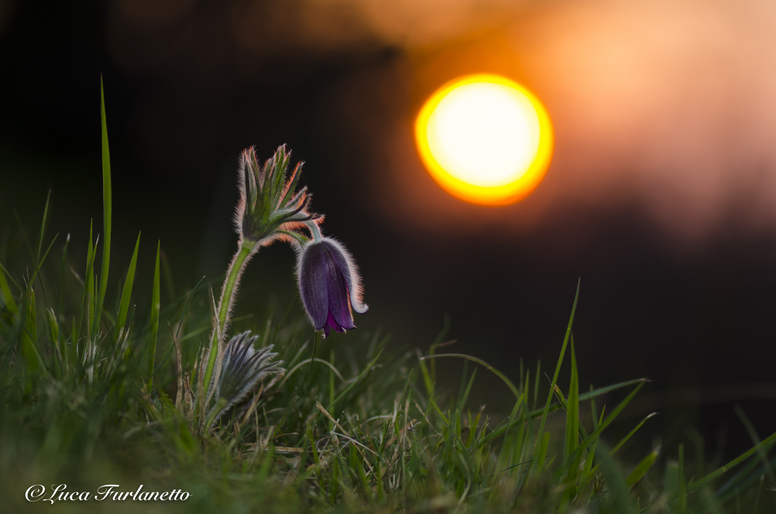 The sun rises on spring