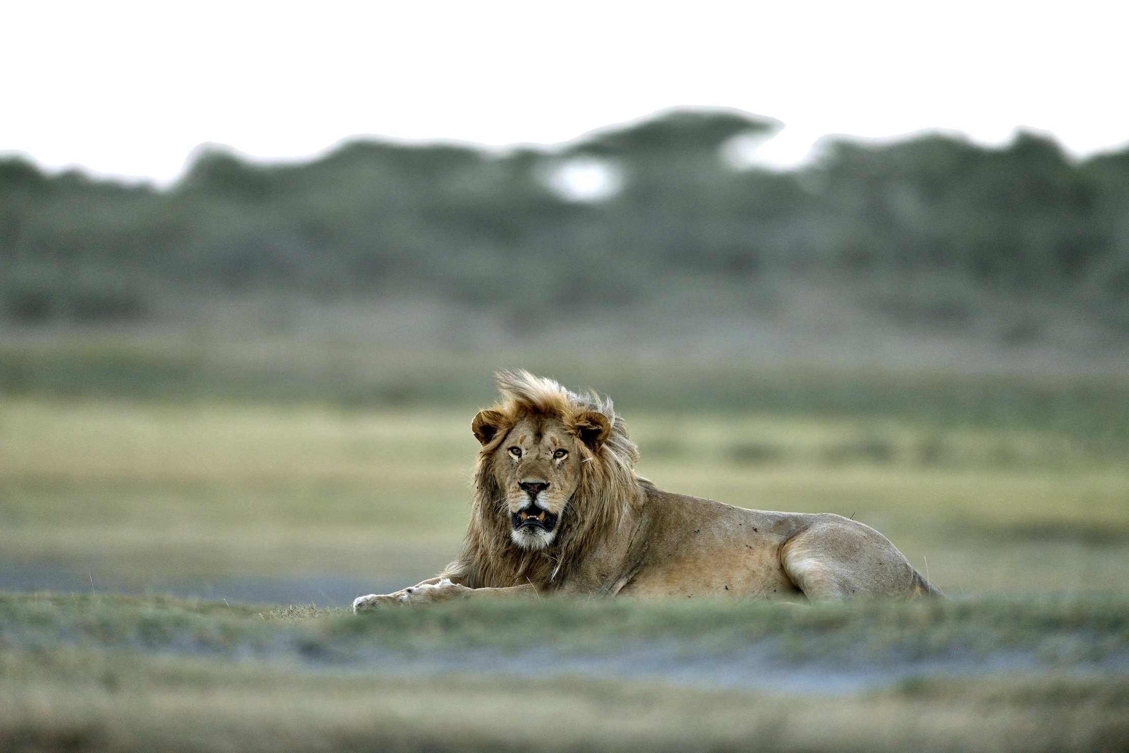 Tanzania 2015 - All'imbrunire