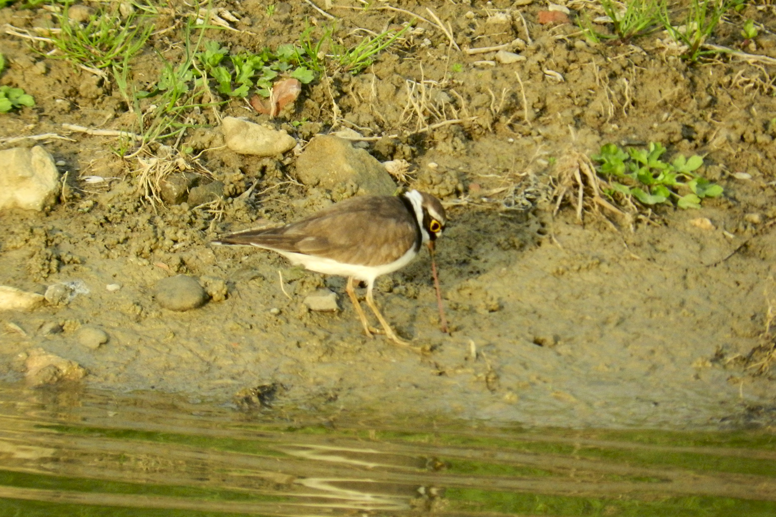 A memorable moment, sin ...