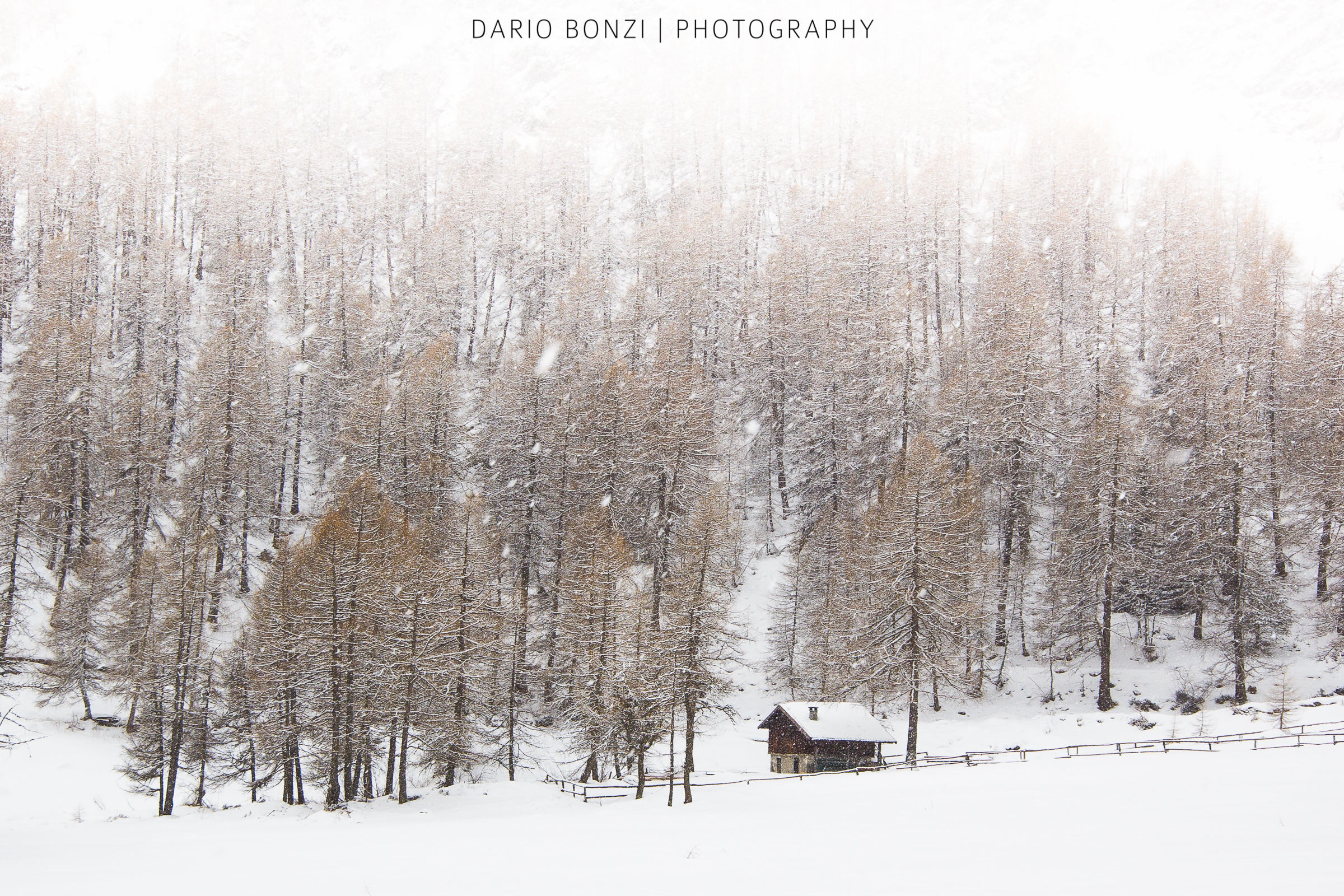 La casa nella foresta imbiancata