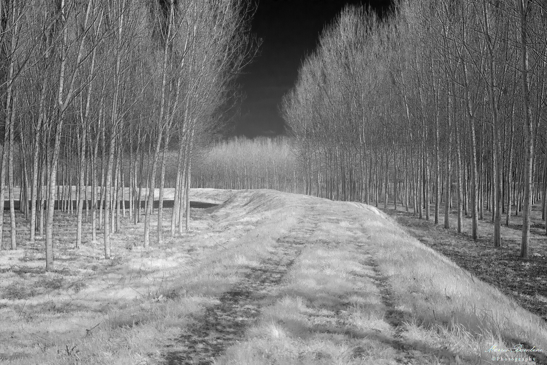 Carbonara (mn), in a floodplain Po