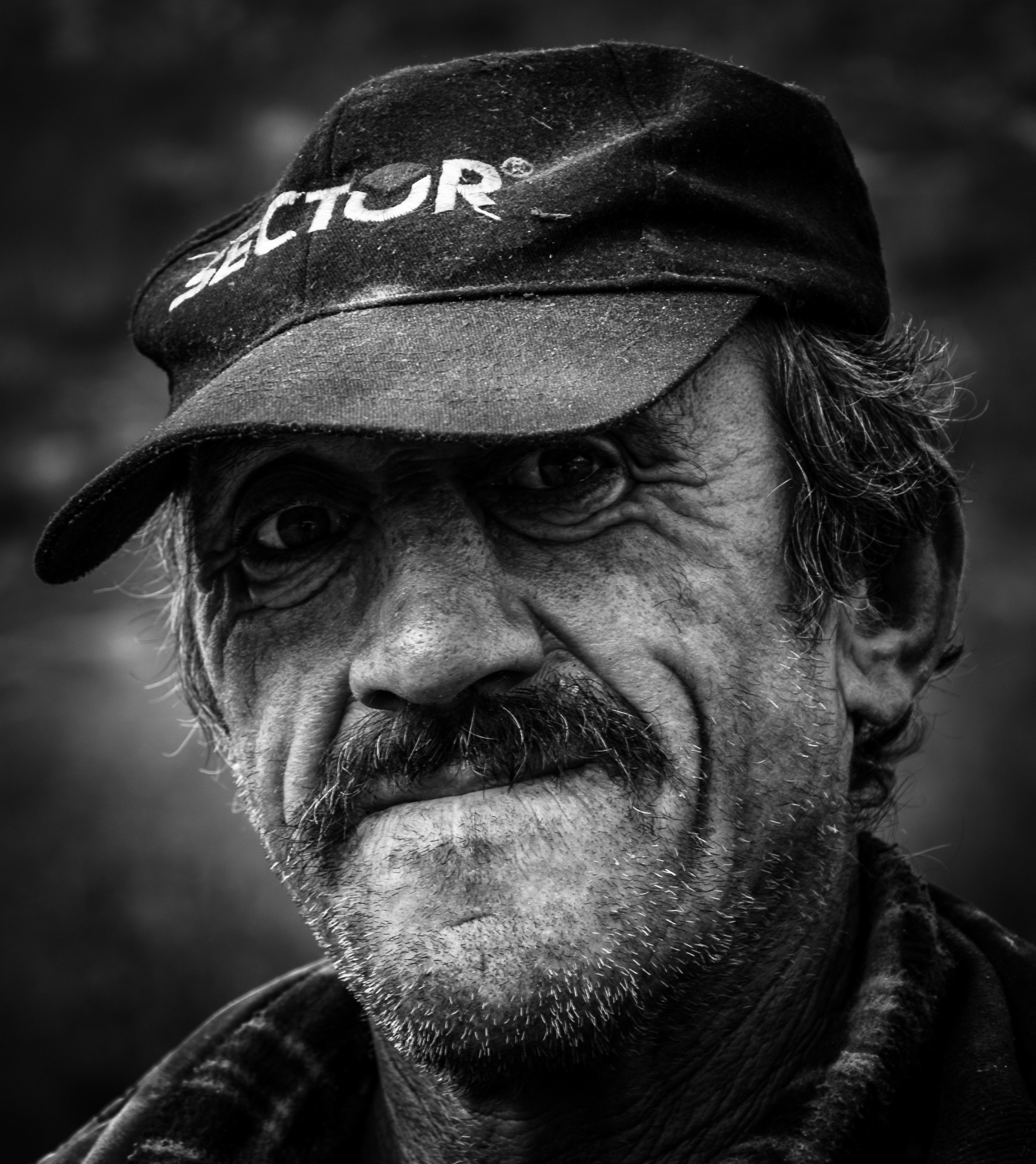 Ritratto di un pastore errante