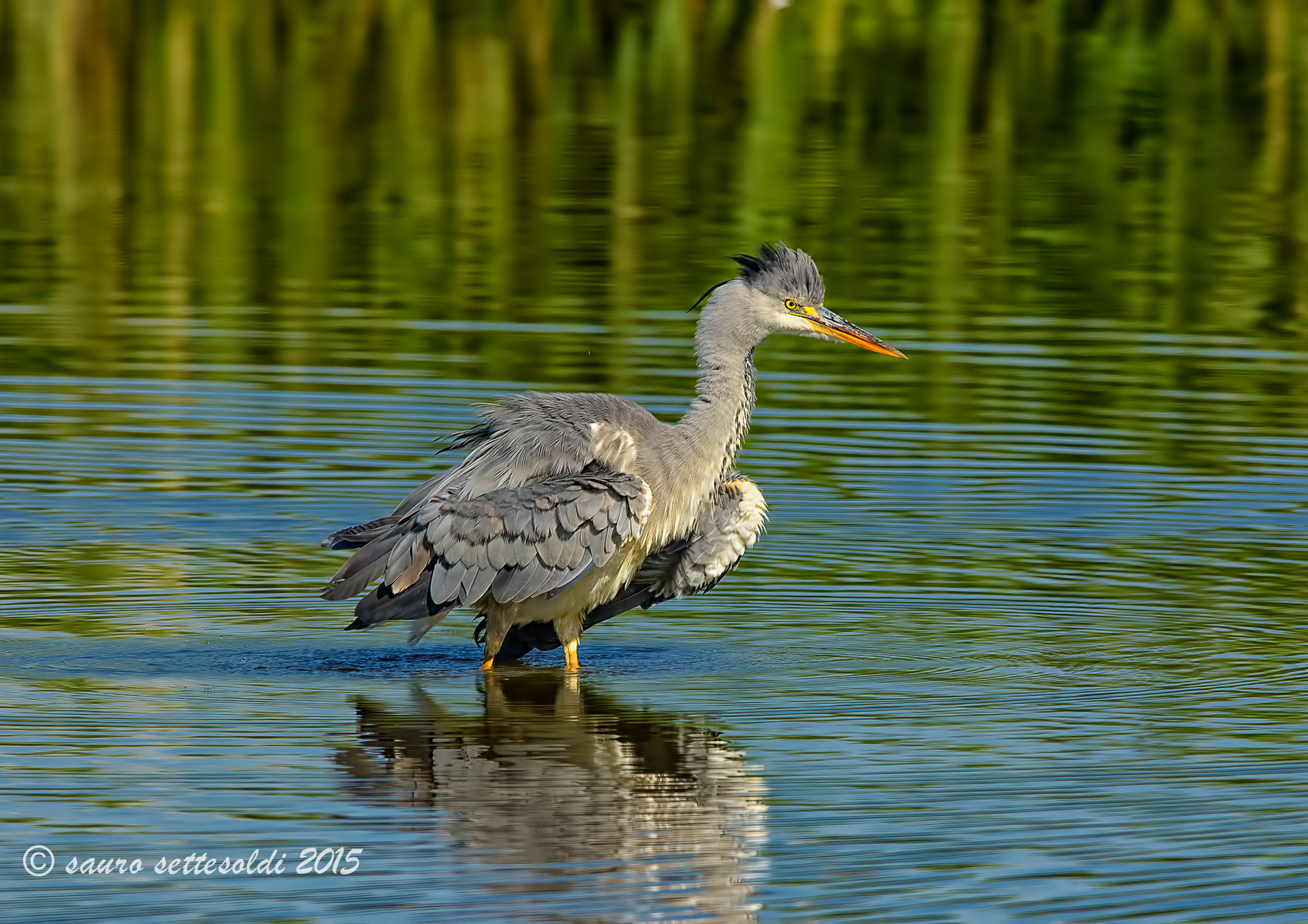 Attenzione sono un po'nervosetto !!!!