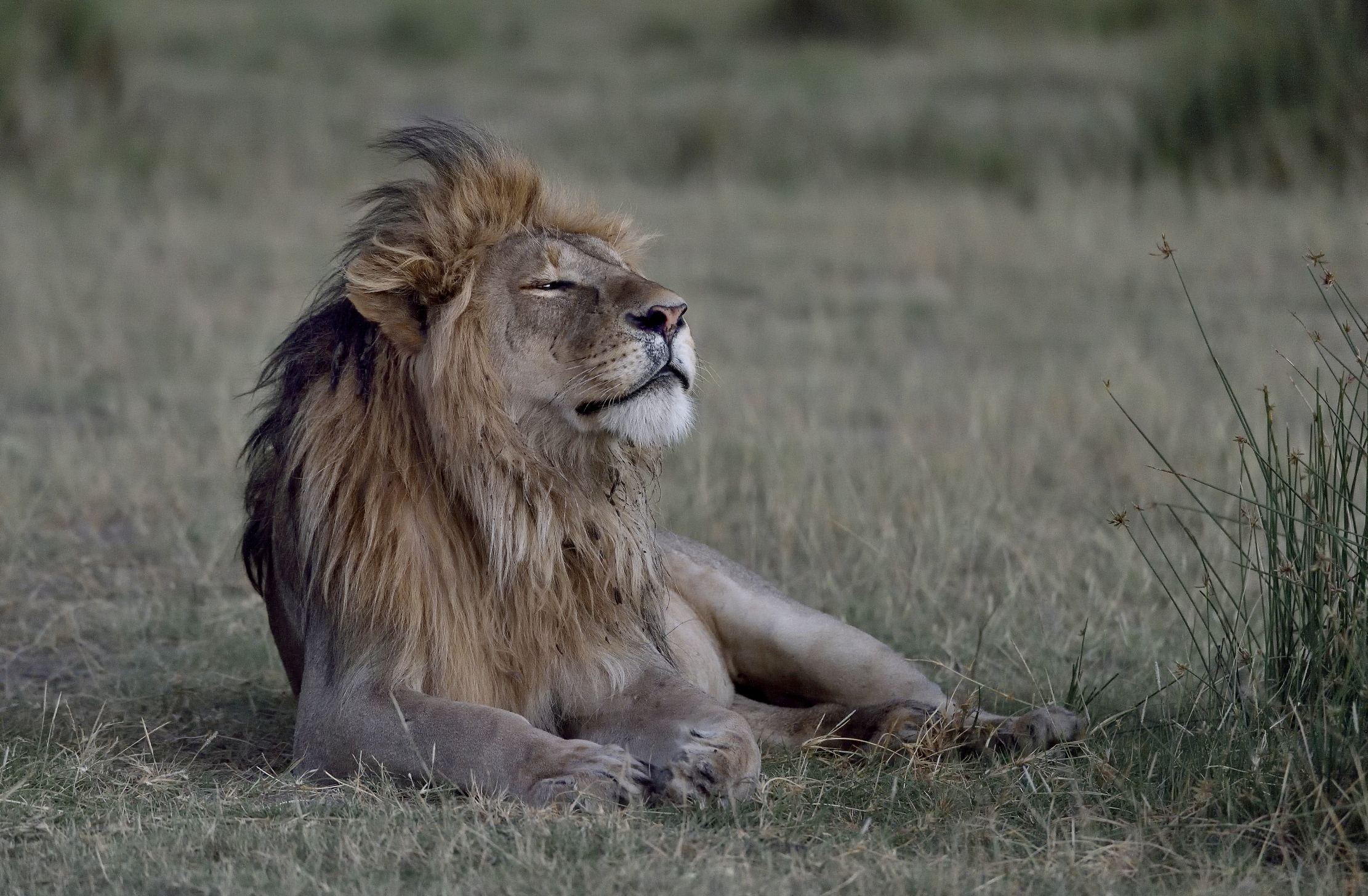 Tanzania 2015 - L'aria fresca dell'alba