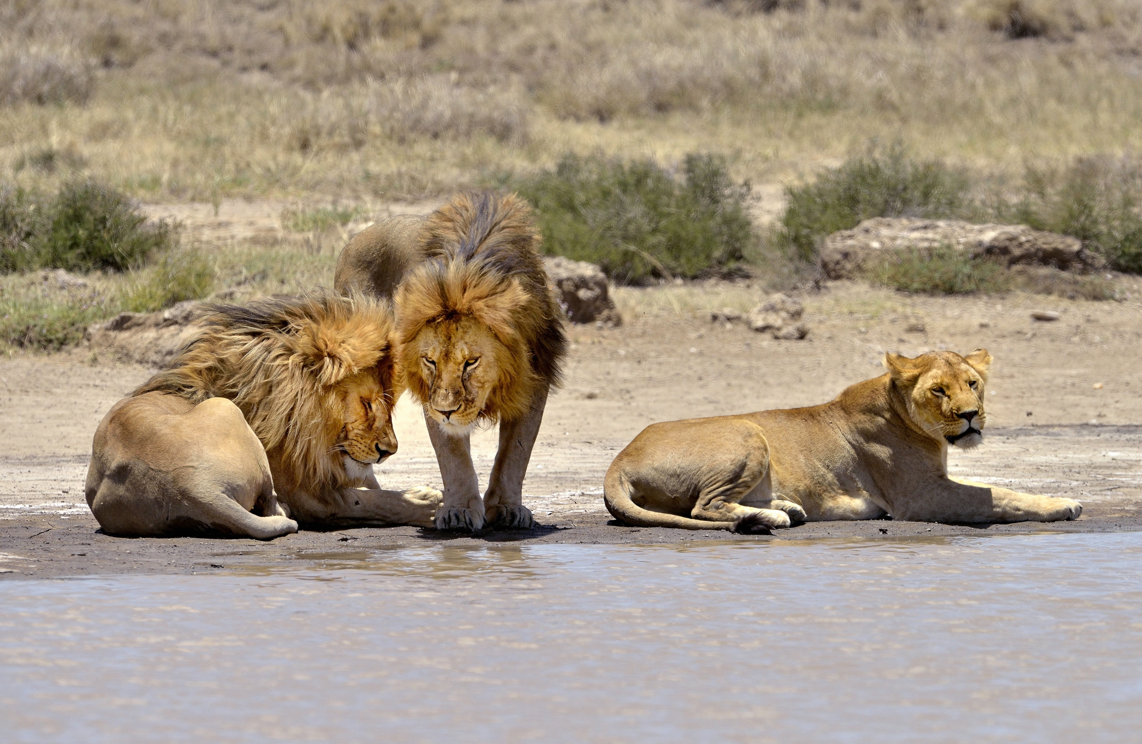 Tanzania 2015 - Al lago