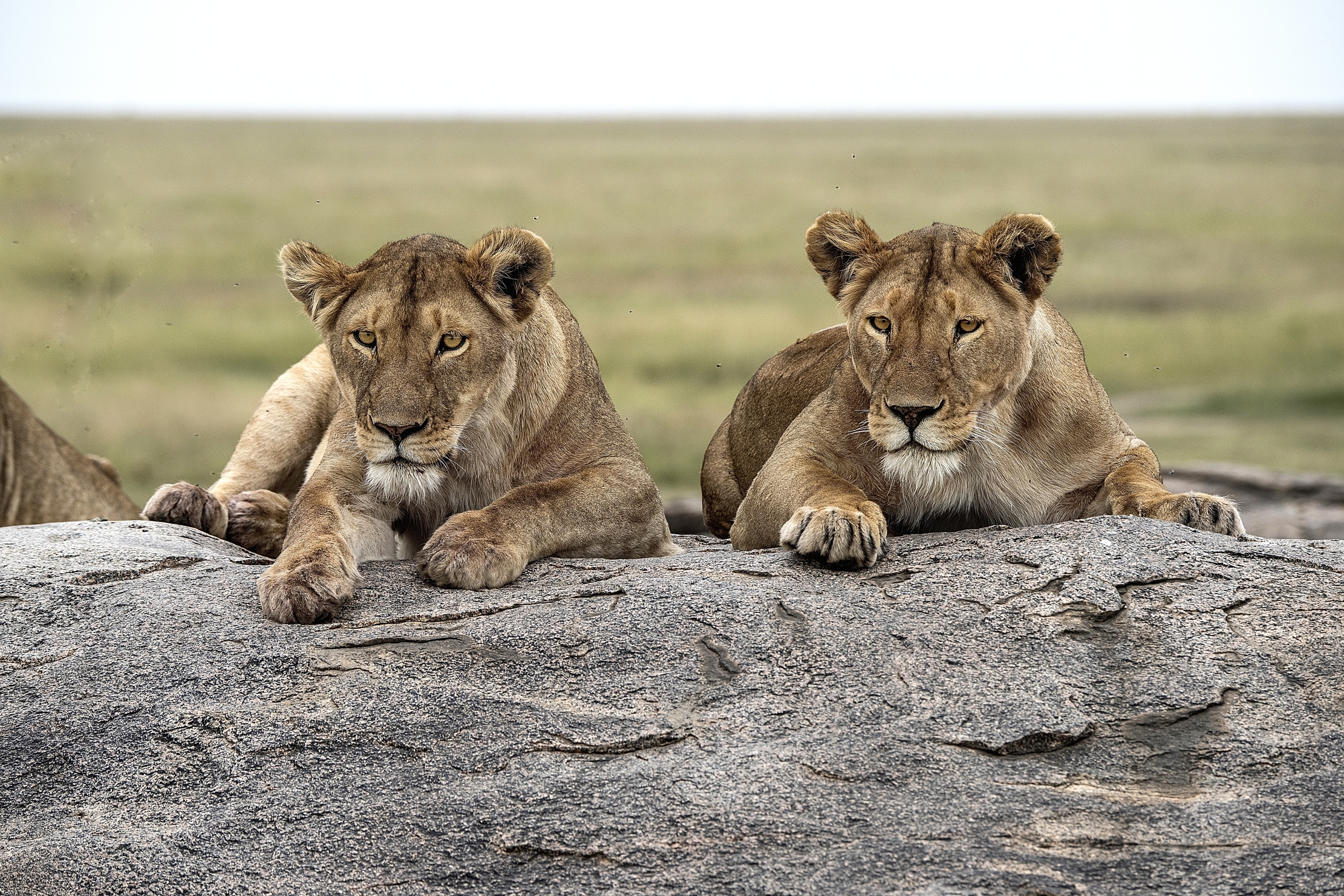 Tanzania 2015 - Le due sorelle