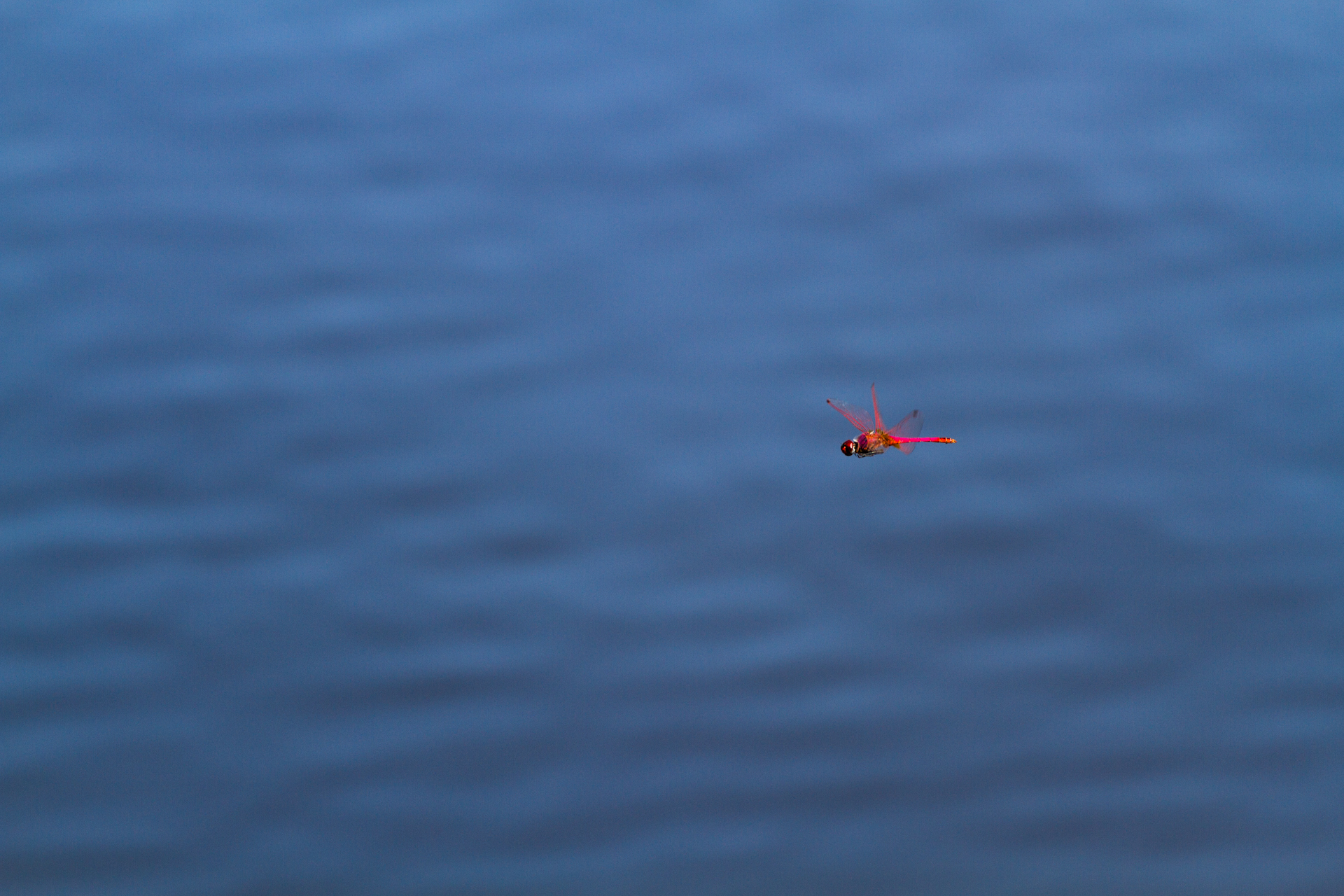 Nel blu, dipinto di blu..