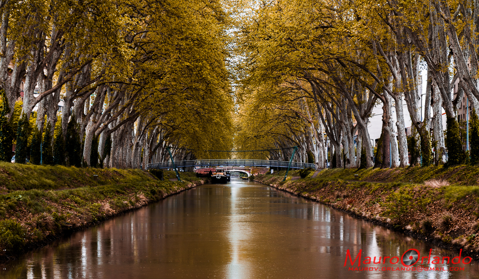 Canal du Midi - Toulouse