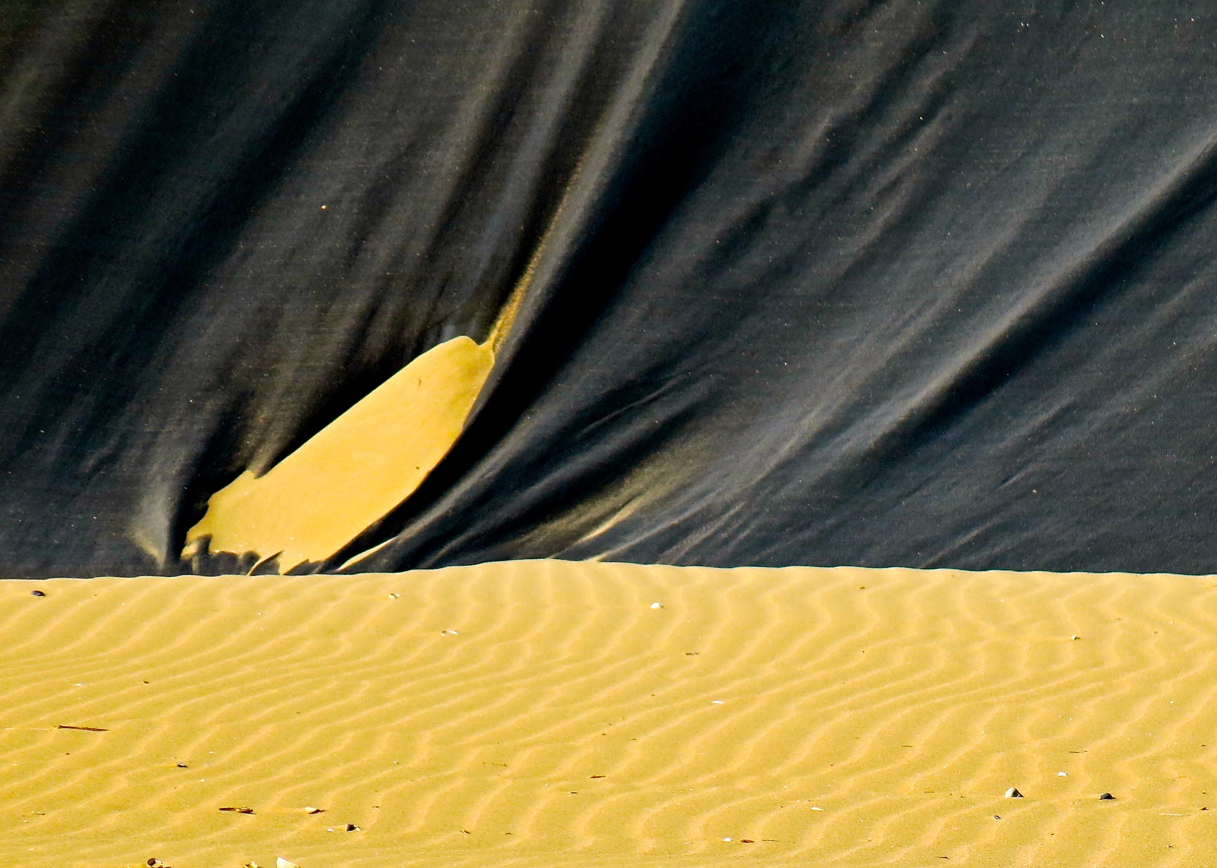 una pennellata di sabbia