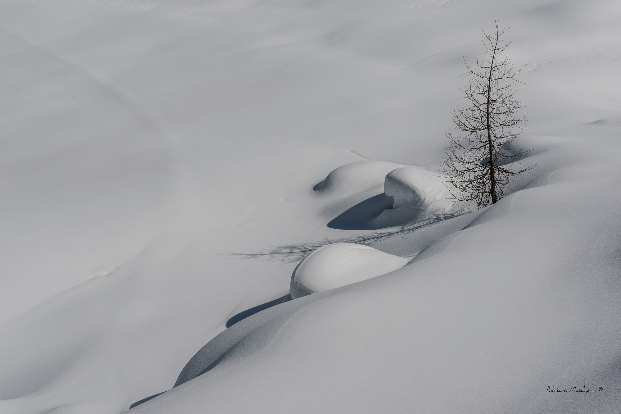 La magia del bianco....