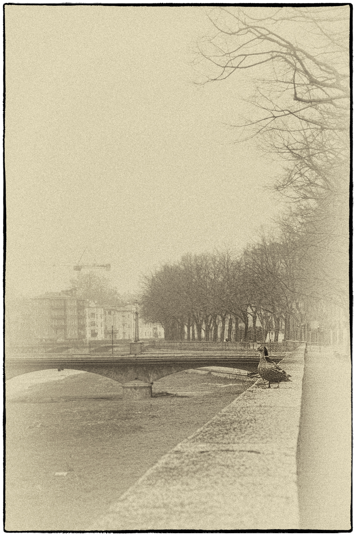 I almost do a jump in town ..........