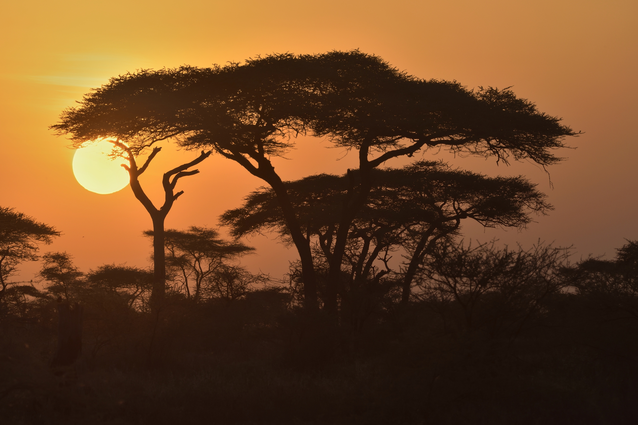 Tanzania 2015 - Tramonto