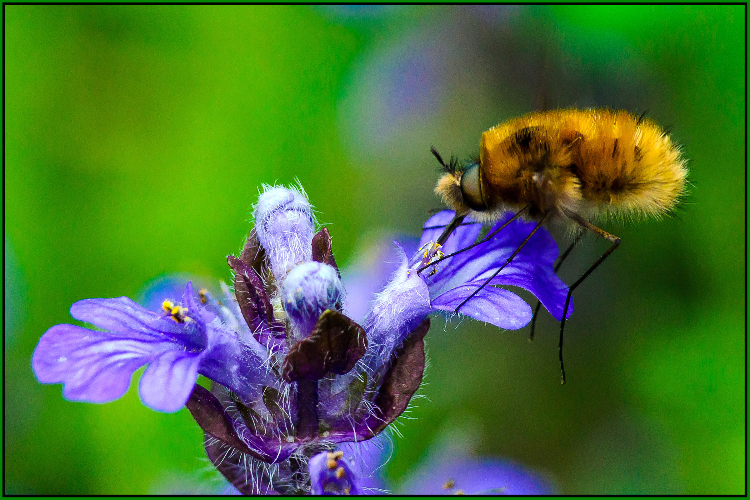Attività primaverili