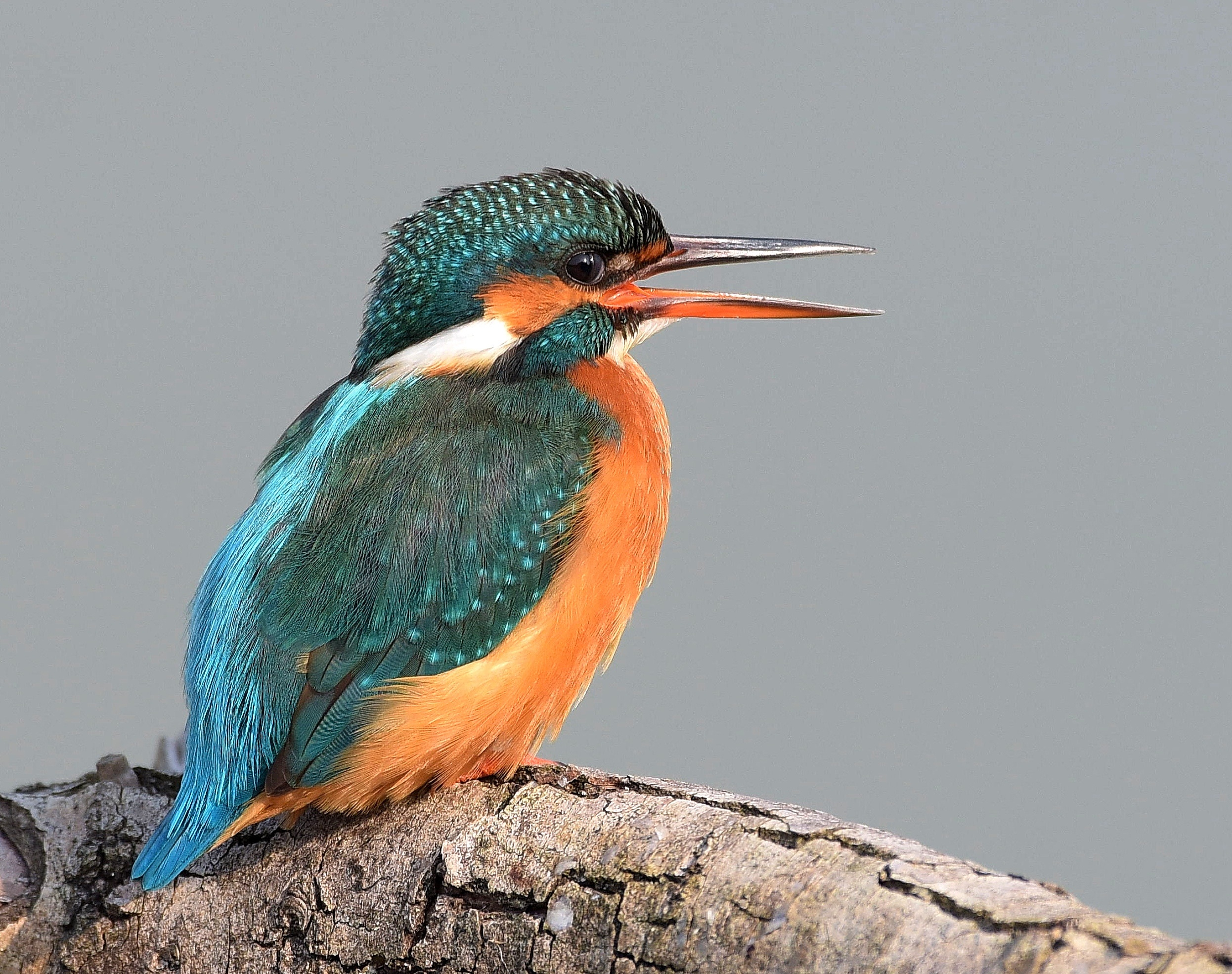 Martina prima del 2015