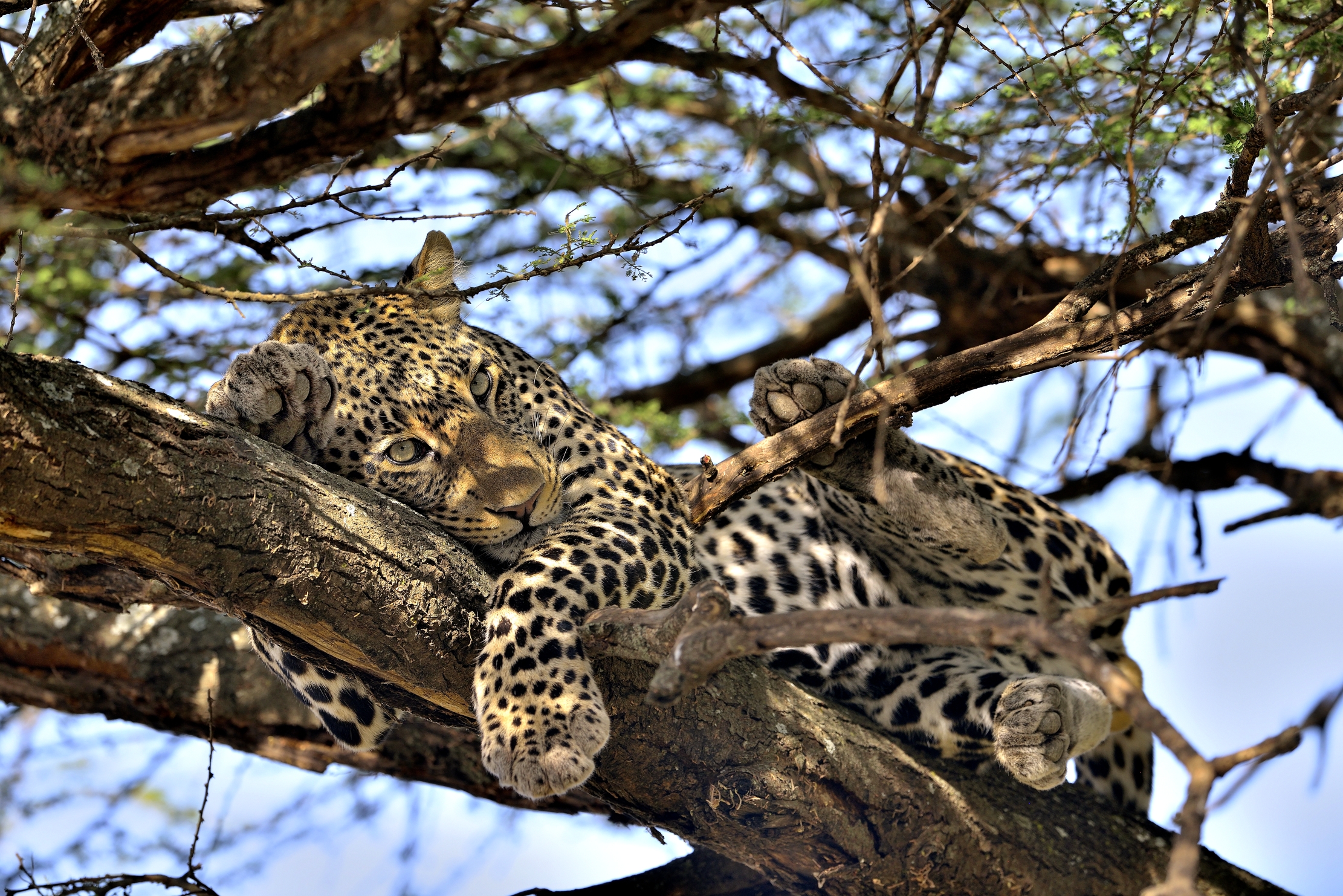 Tanzania 2015 - Relax