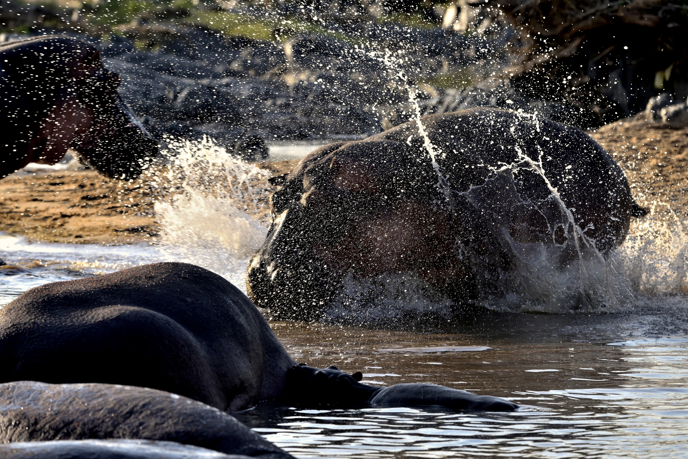 Tanzania 2015 - In acqua!