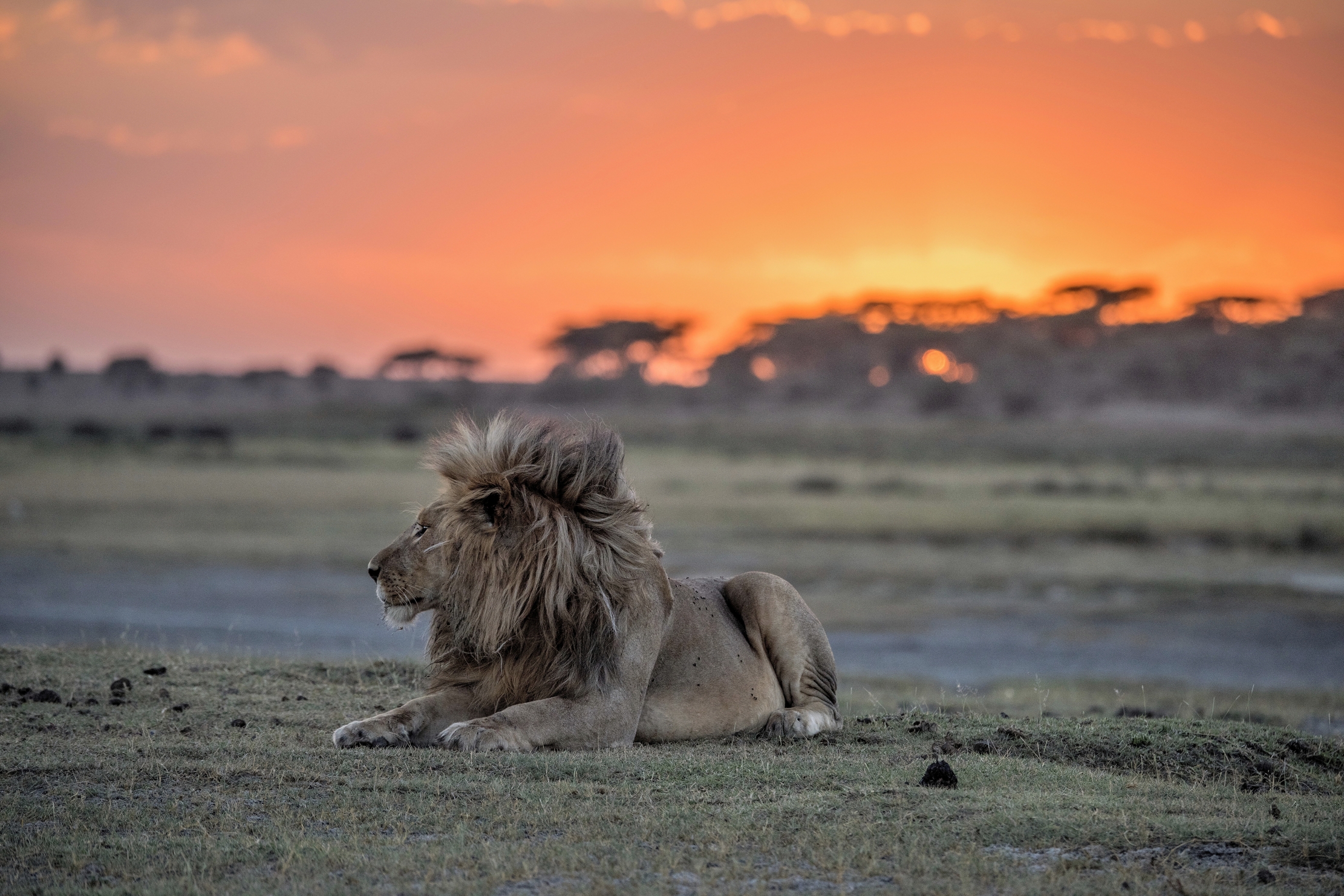 Tanzania 2015 - Profilo al tramonto