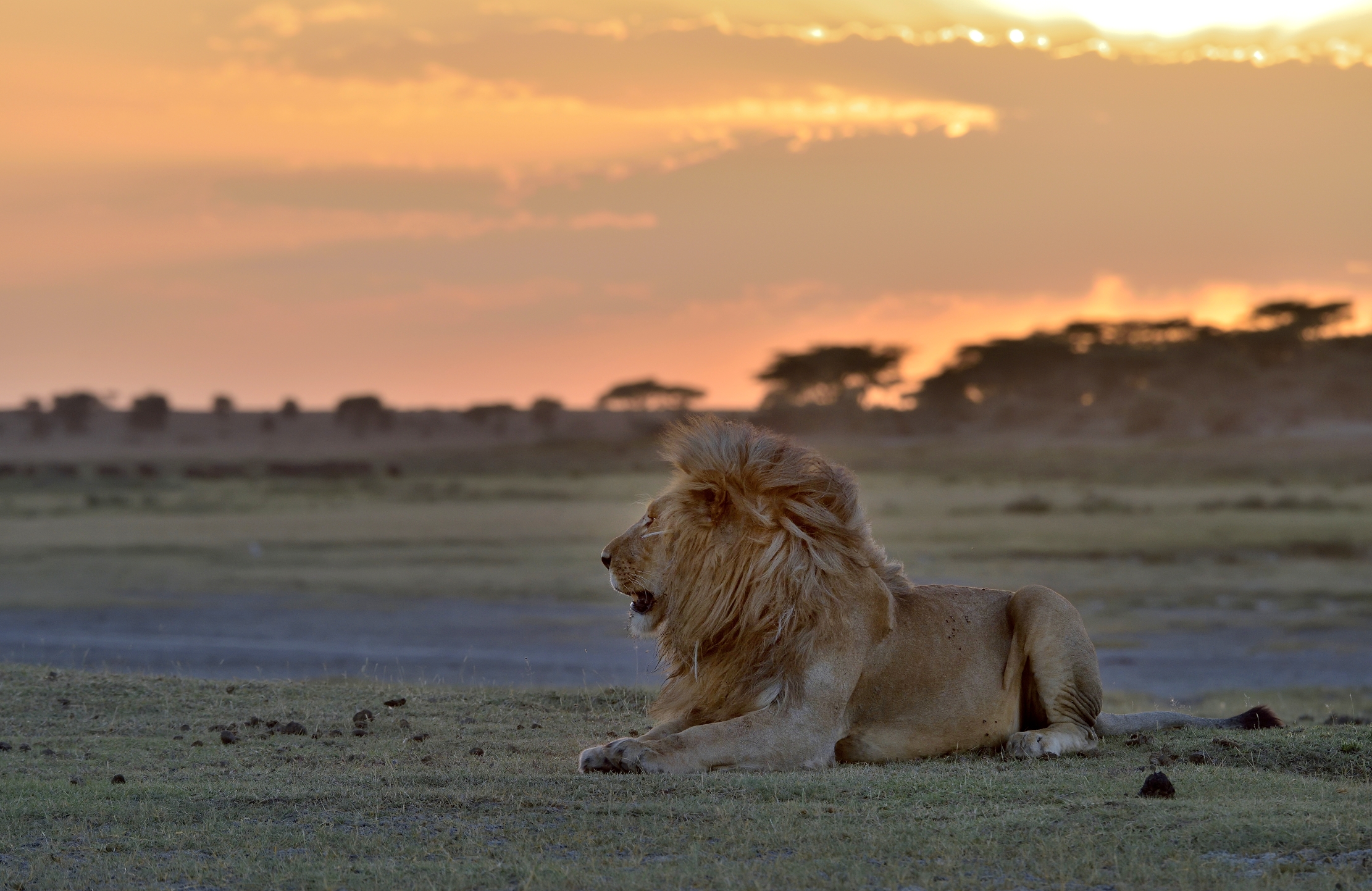 Tanzania 2015 - Al tramonto