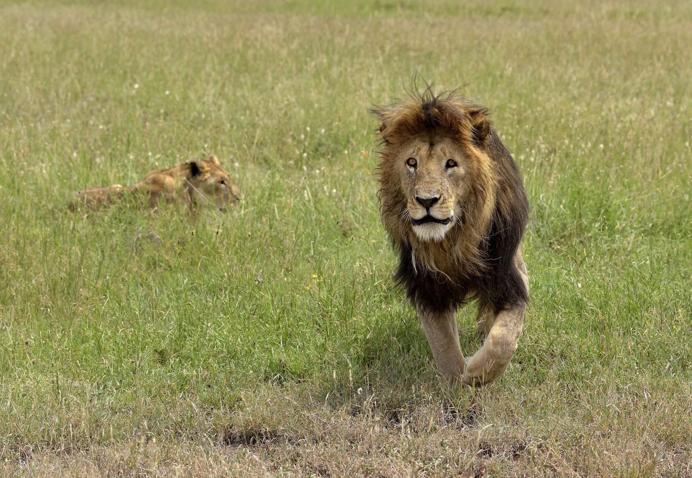 Tanzania 2015 - Che fai...carichi???