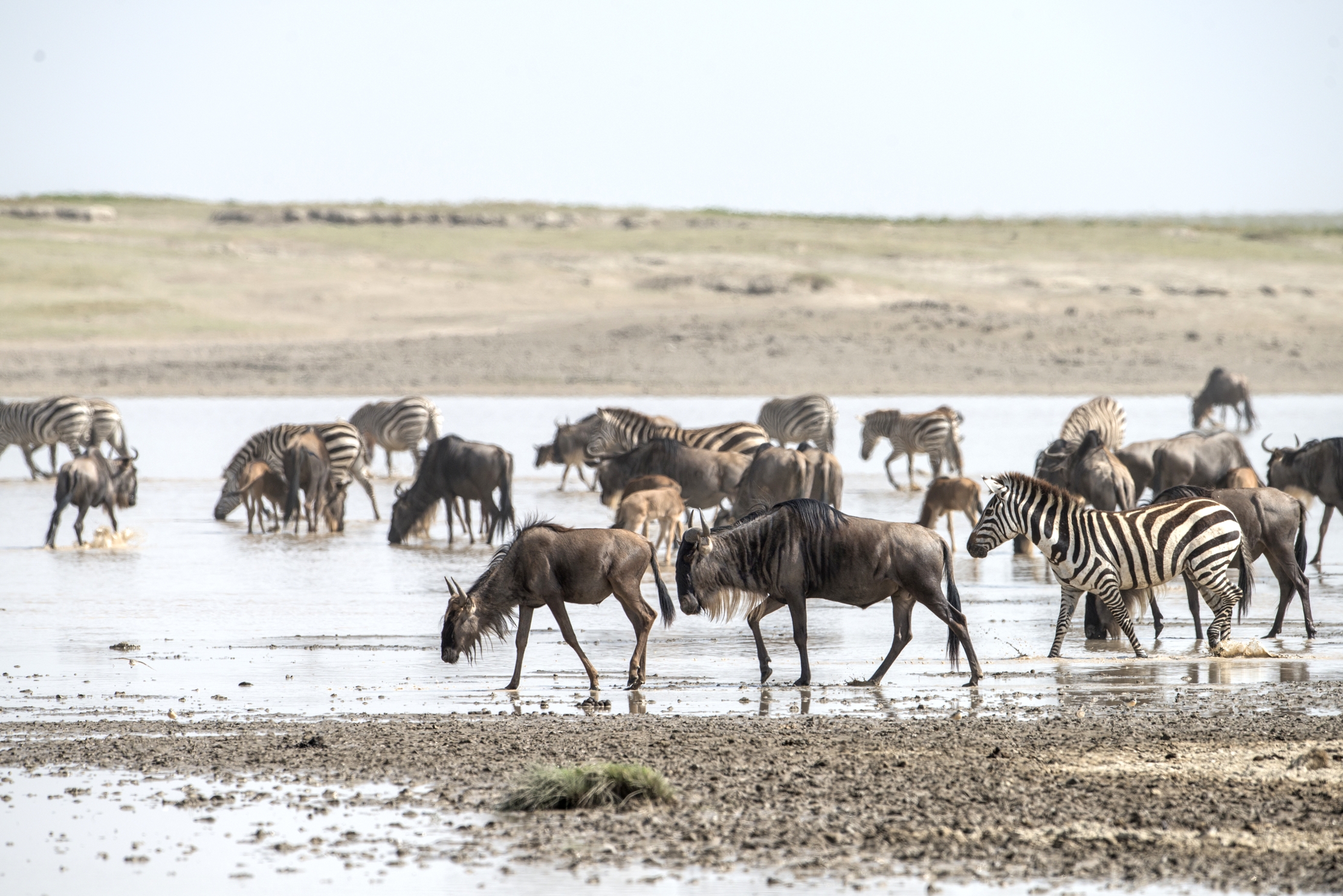 Tanzania 2015 - Nell'acqua