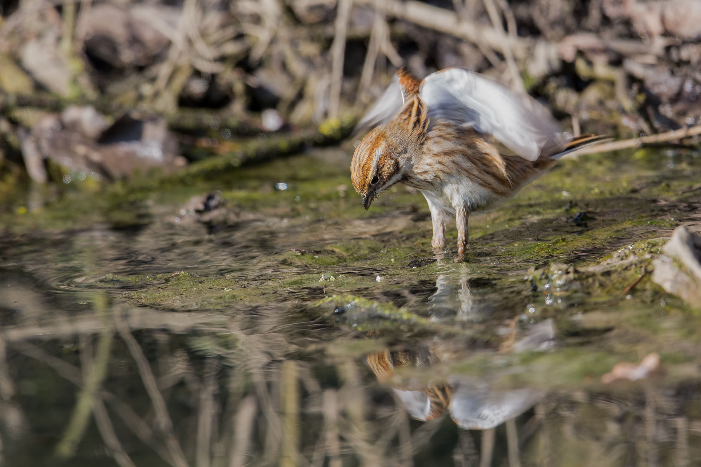 L'acqua è fredda
