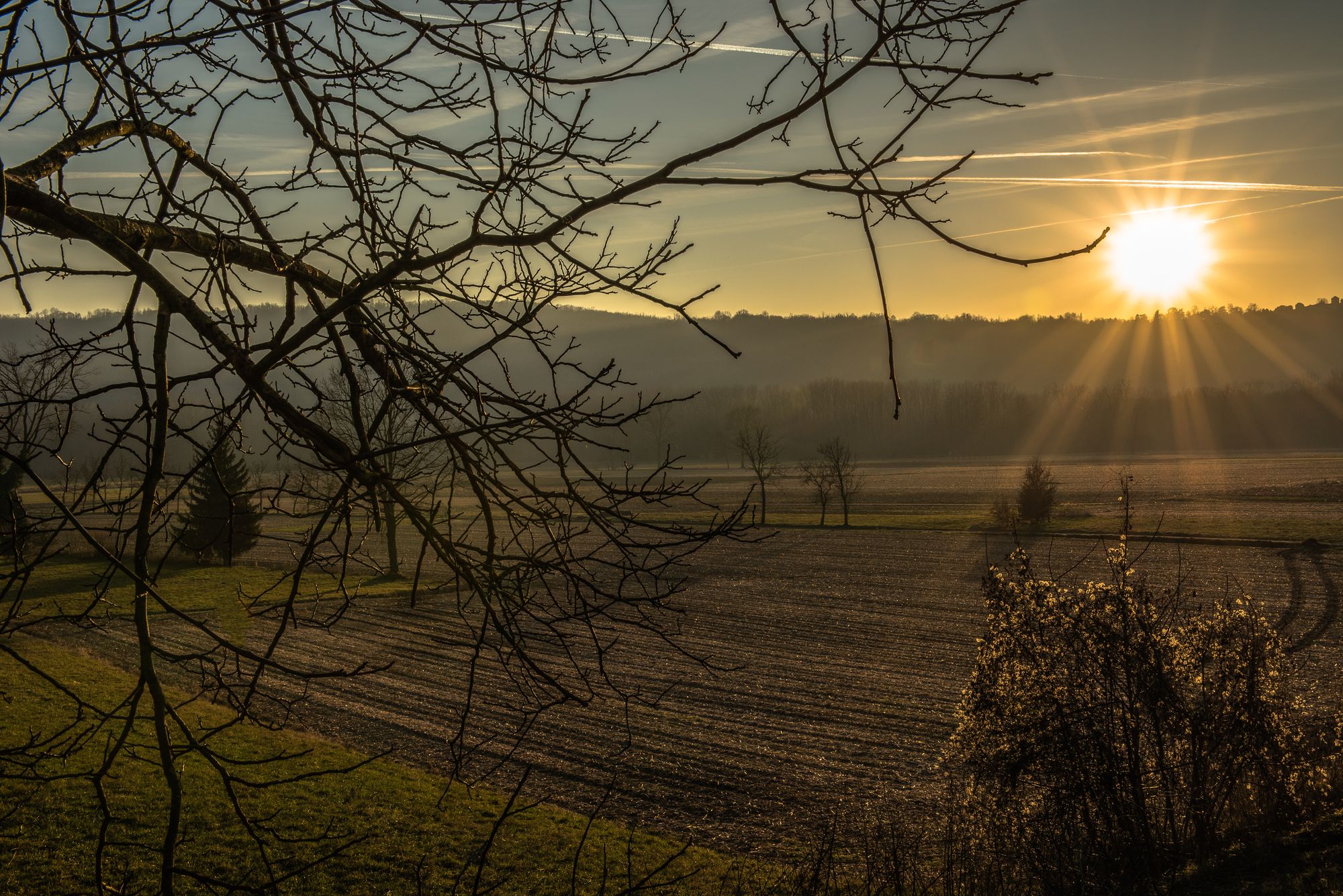 Inverno primaverile (1)