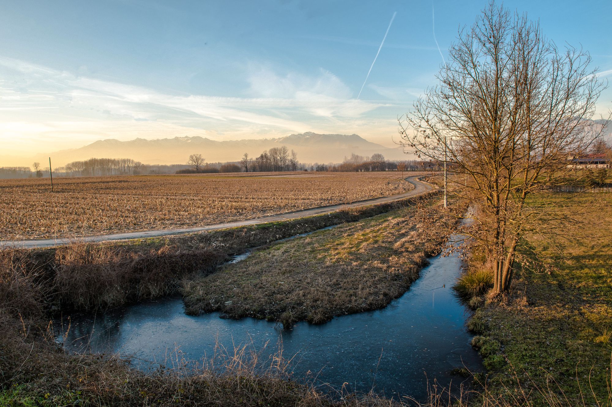 Inverno primaverile (3)