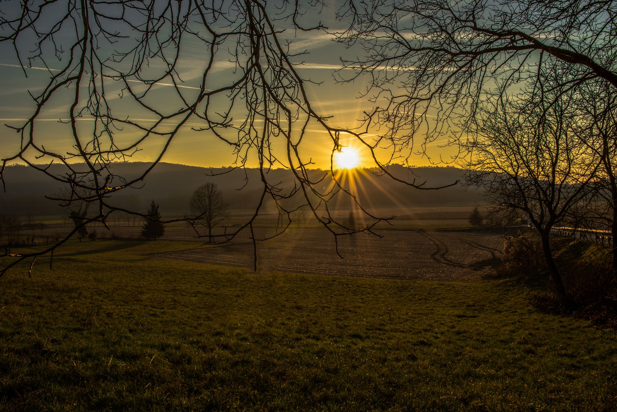 Inverno primaverile (4)