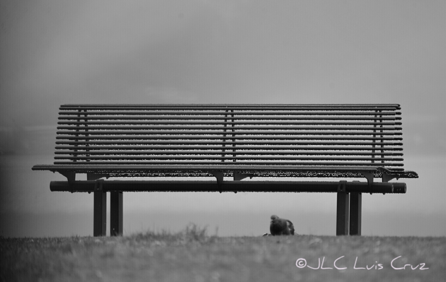 ... It's raining ...