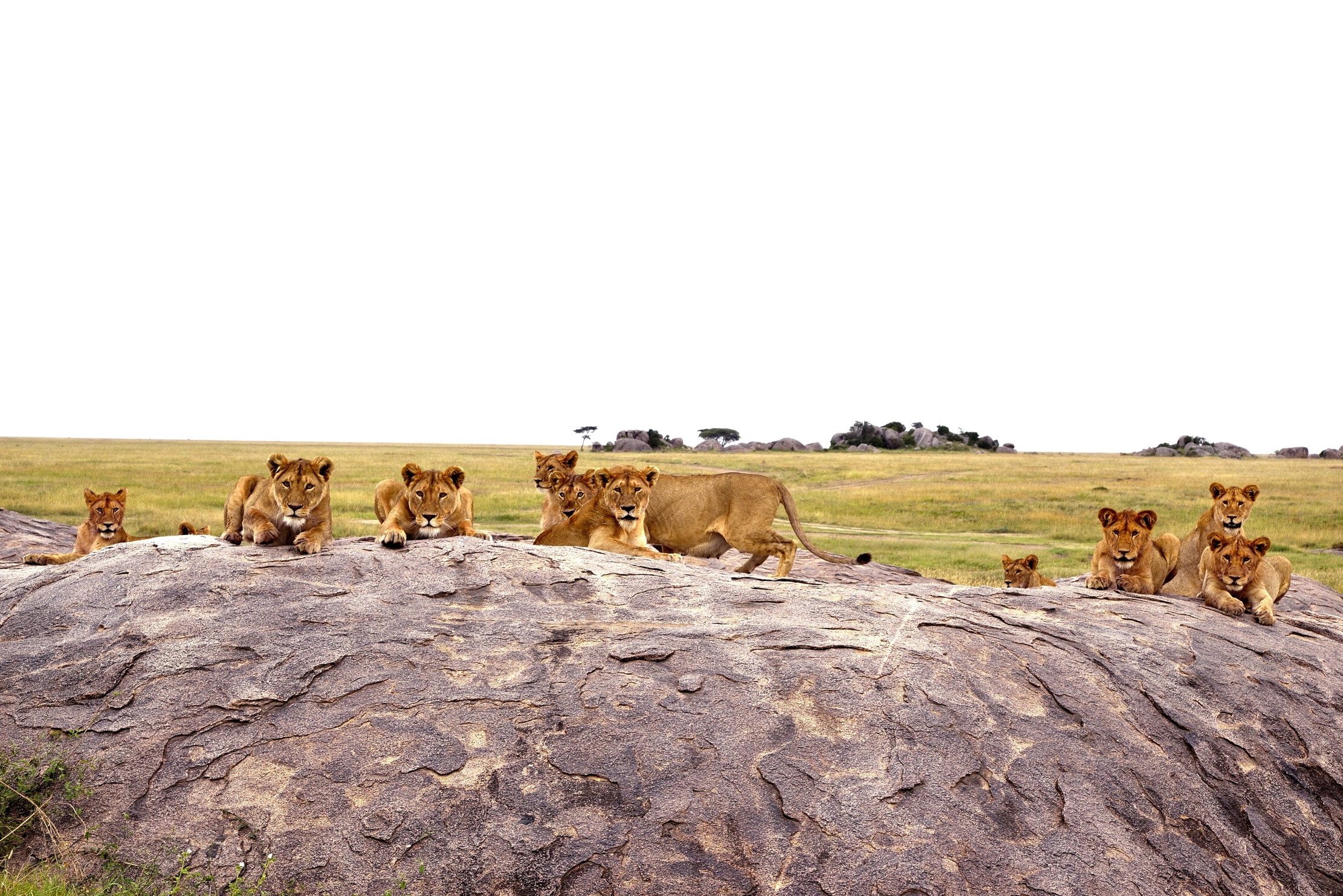 Tanzania 2015 - Tanti...