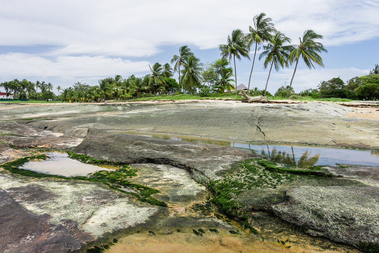 Spiaggia di Kourou