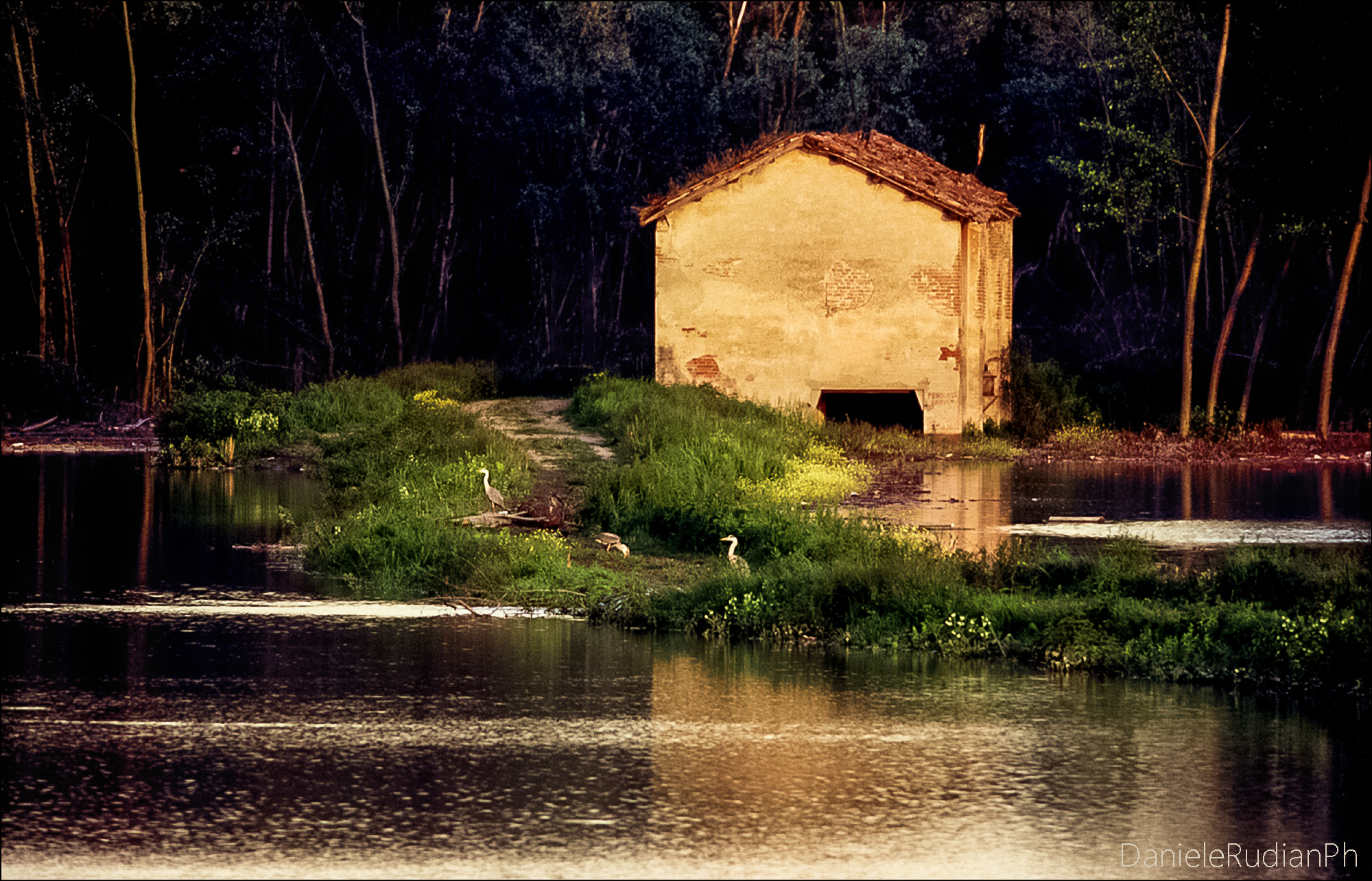 In golena di sera 01