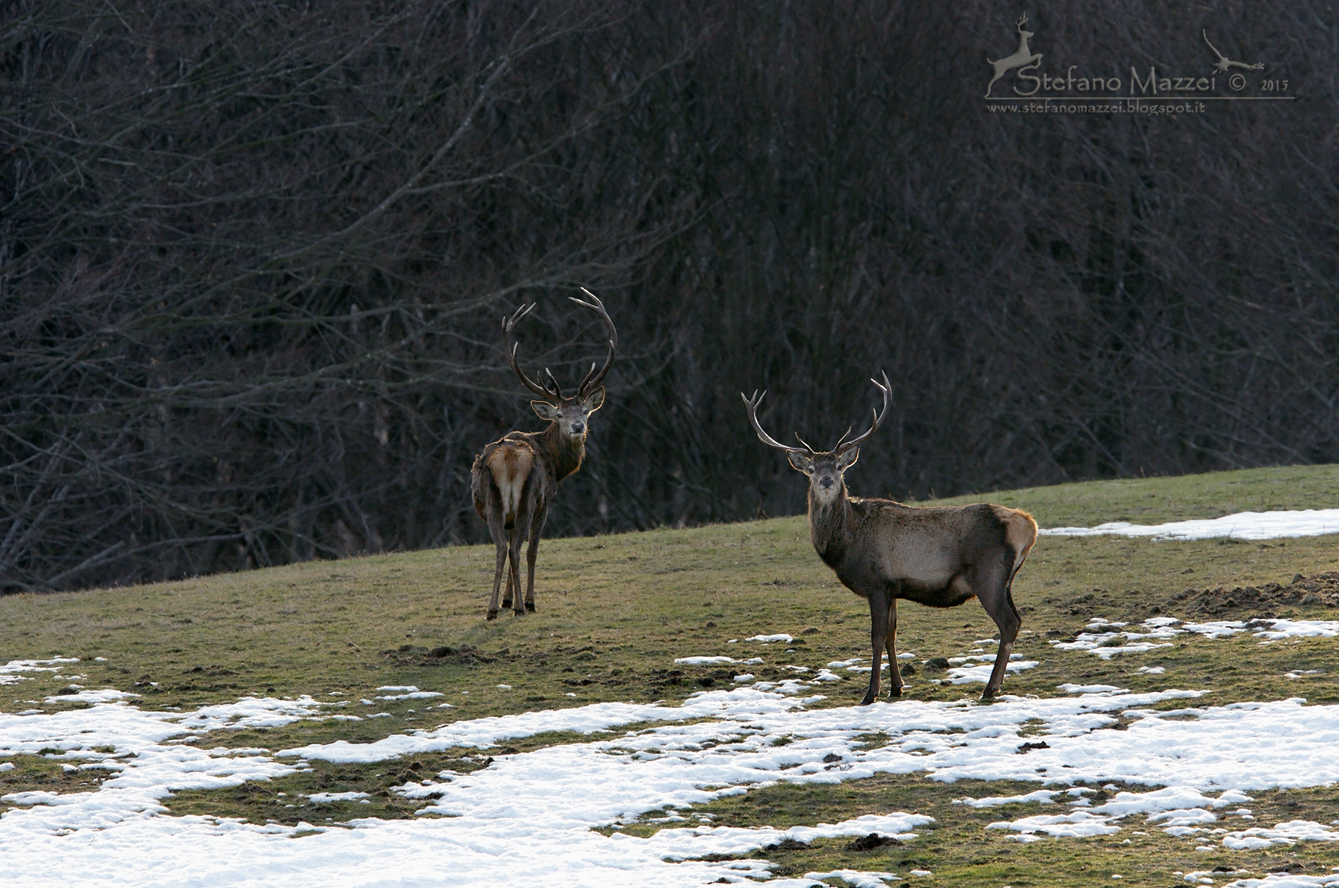 I Signori dell' Appennino
