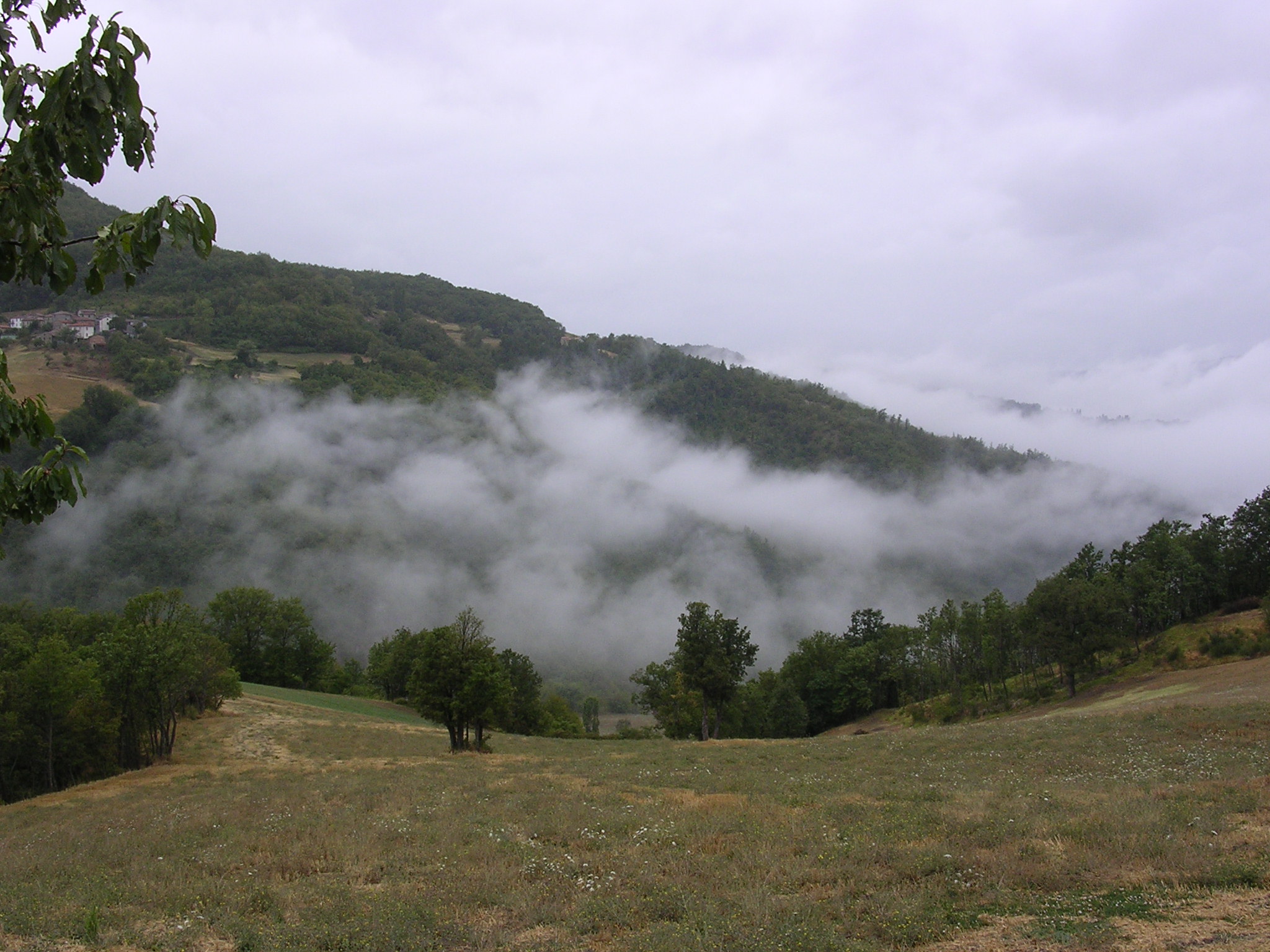 Nebbia sull'appennino parmense.