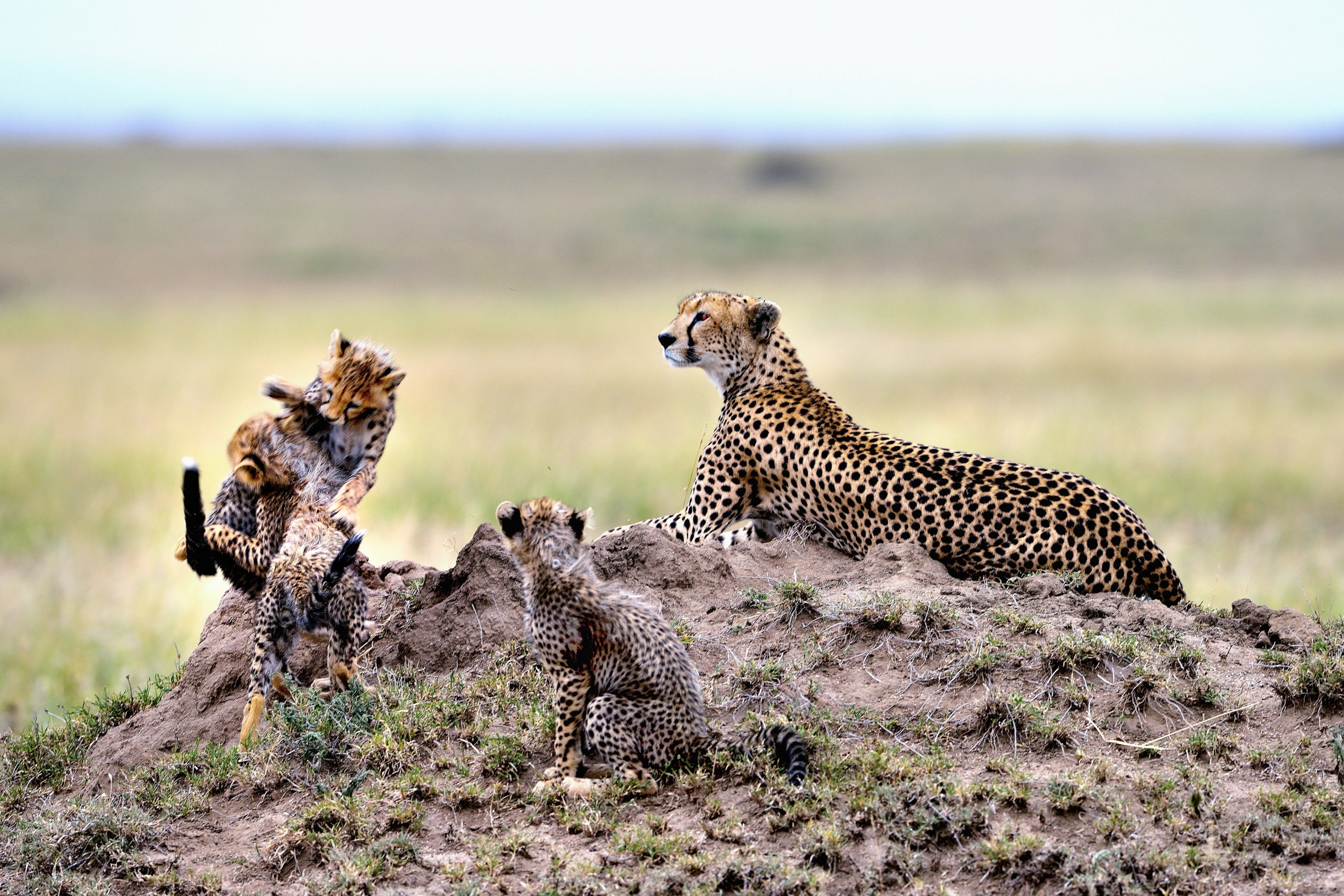 Tanzania 2015 - sotto lo sguardo della mamma