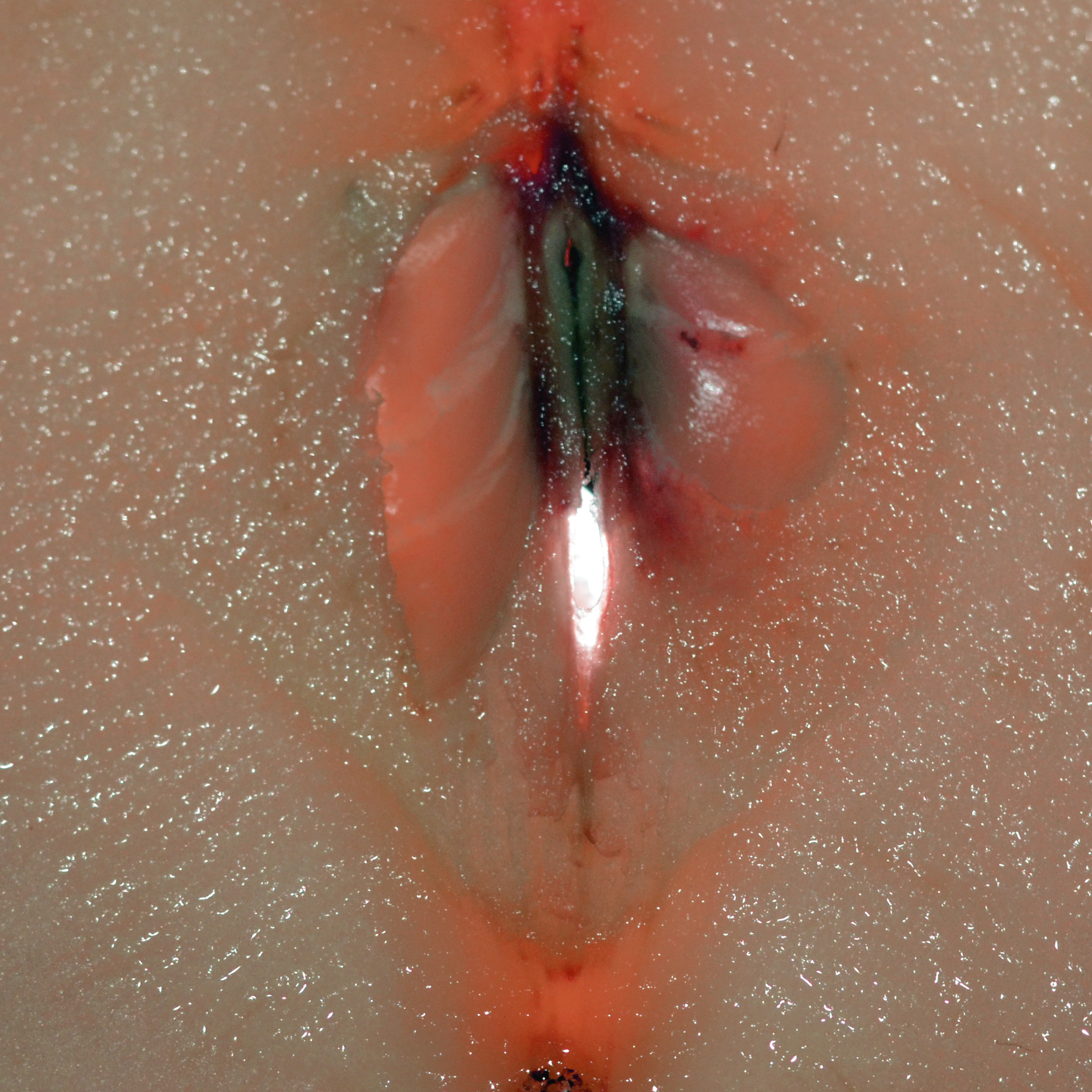 La natura e le sue strane creazioni