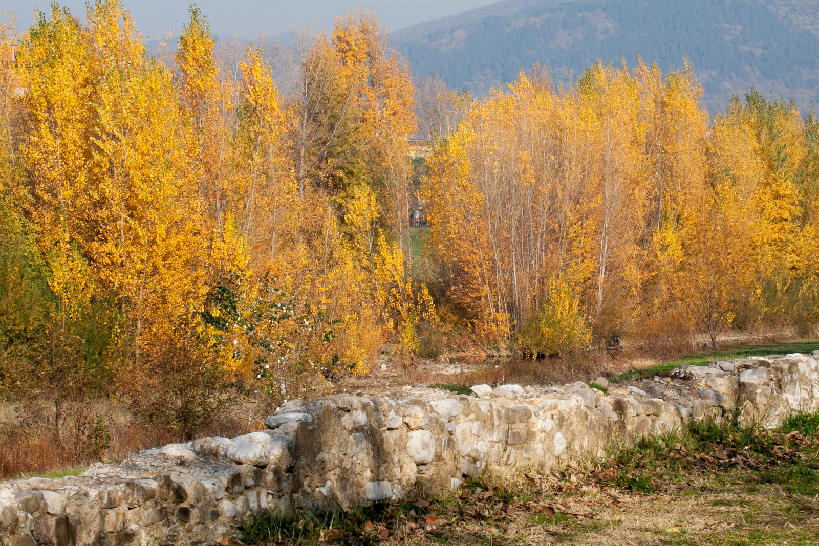 Autumn on the River bisenzio