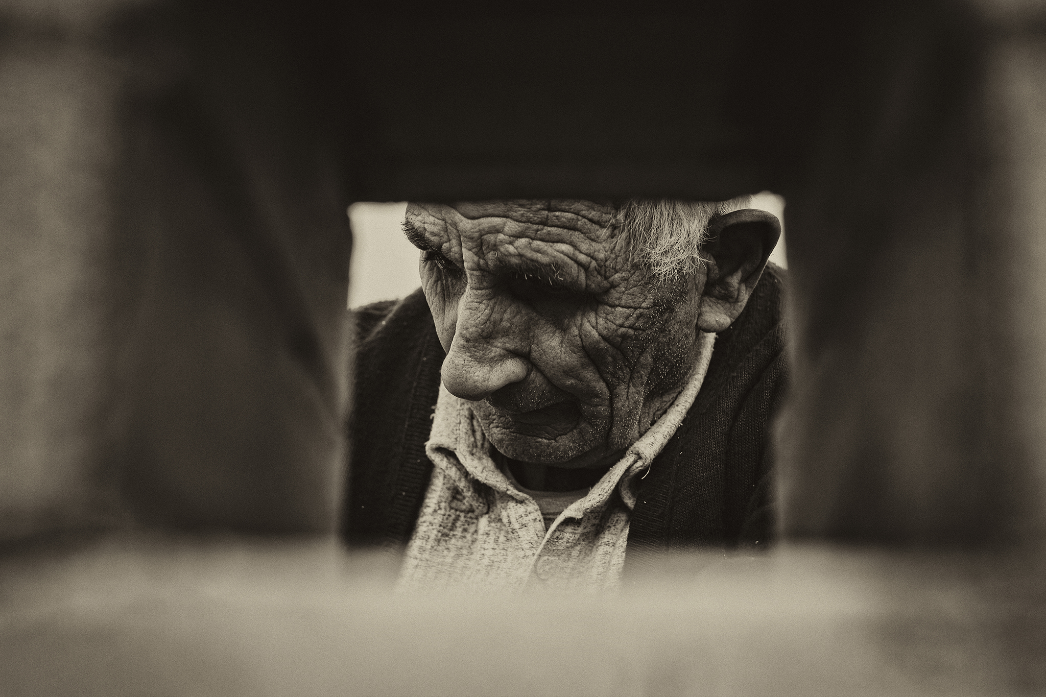 La finestra della vita