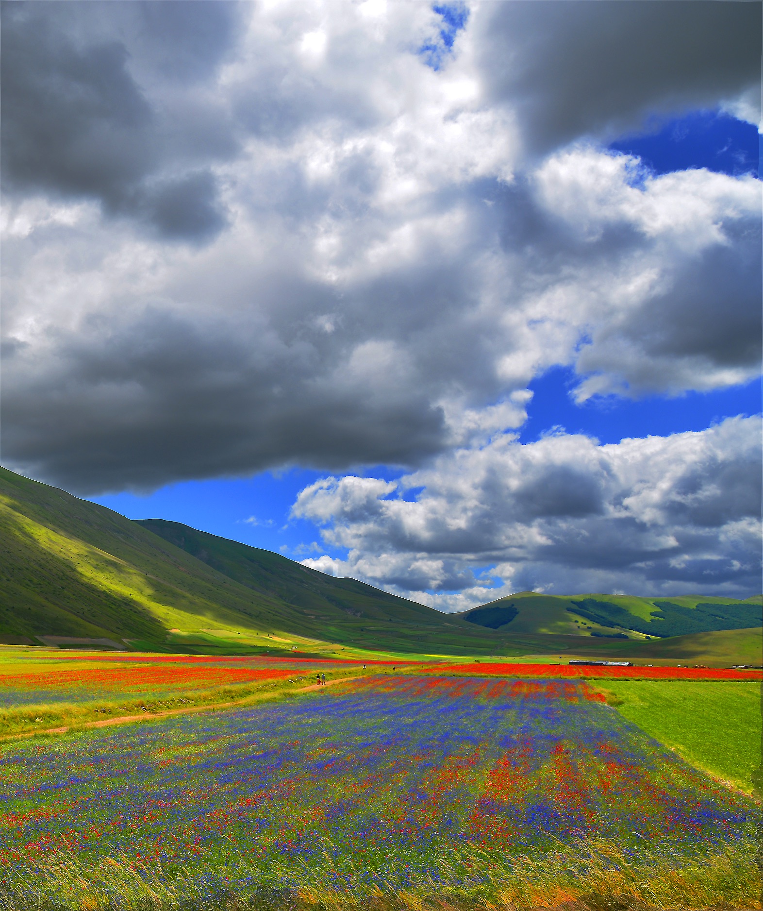 Castelluccio di Norcia