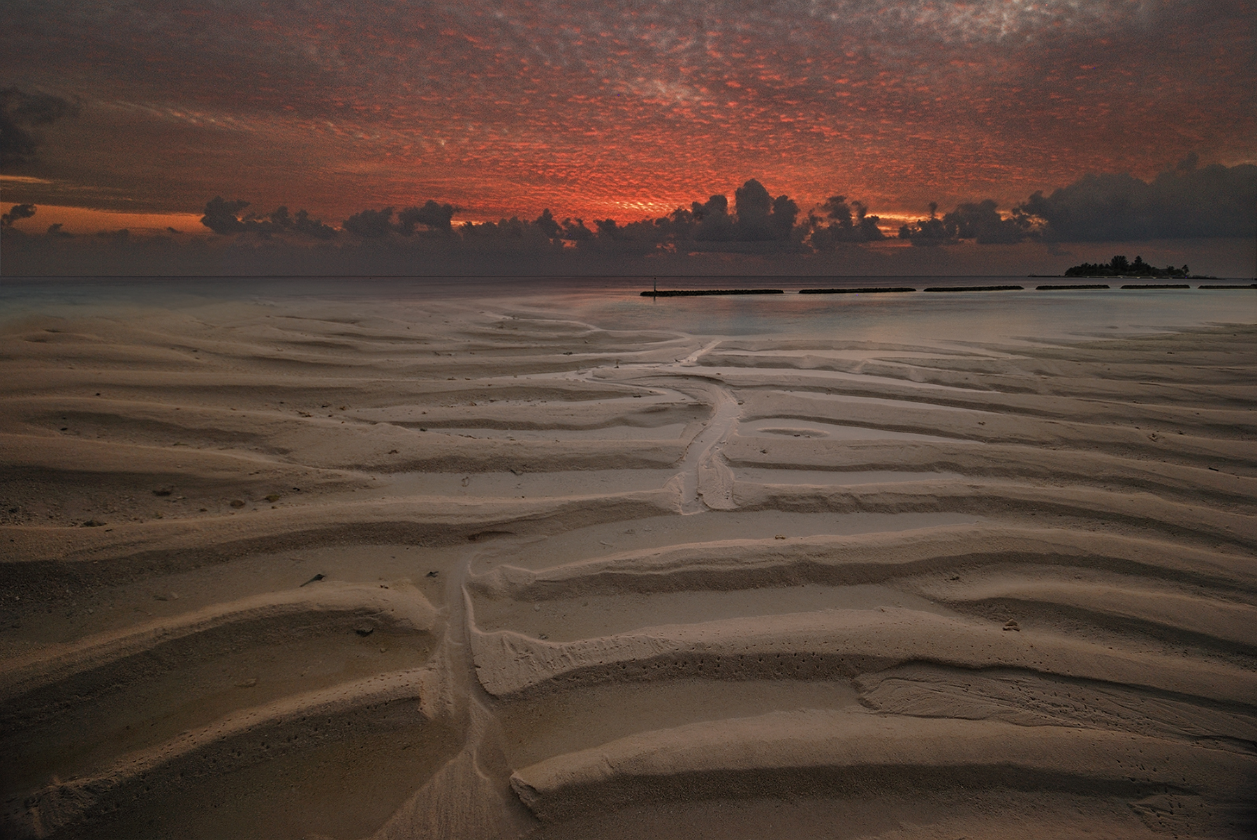 between night and day