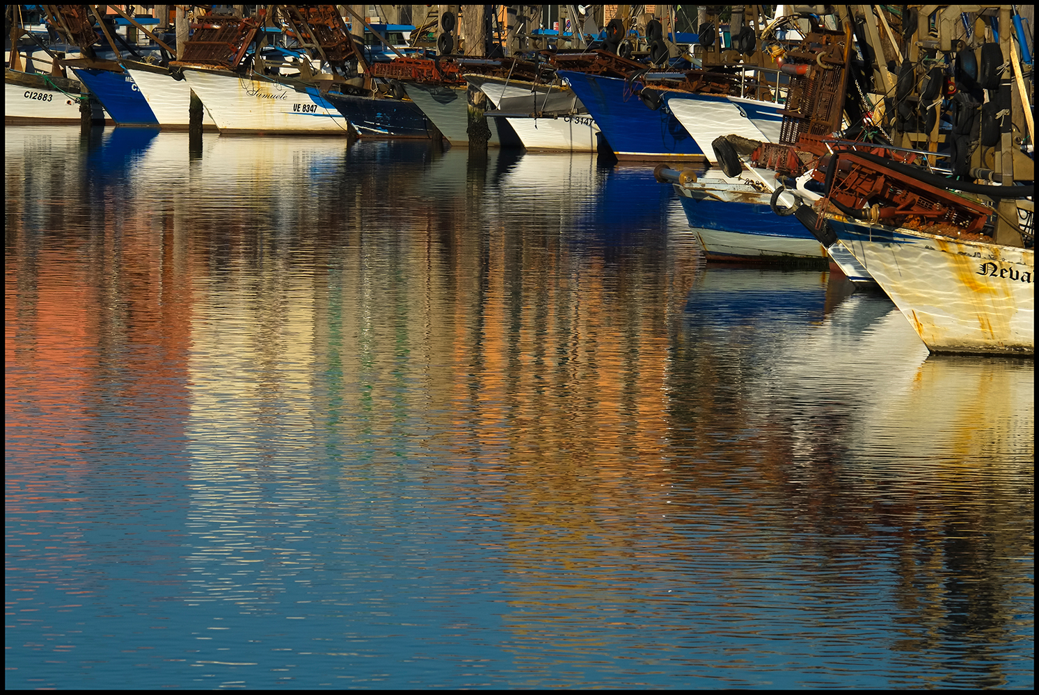 Riflessi chioggiotti