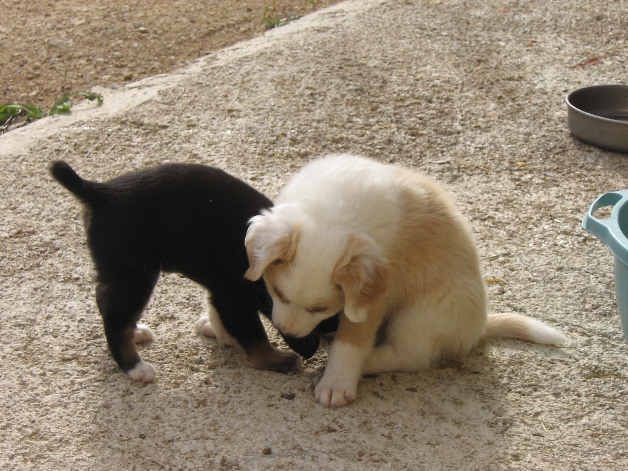 The feelings you can not hide