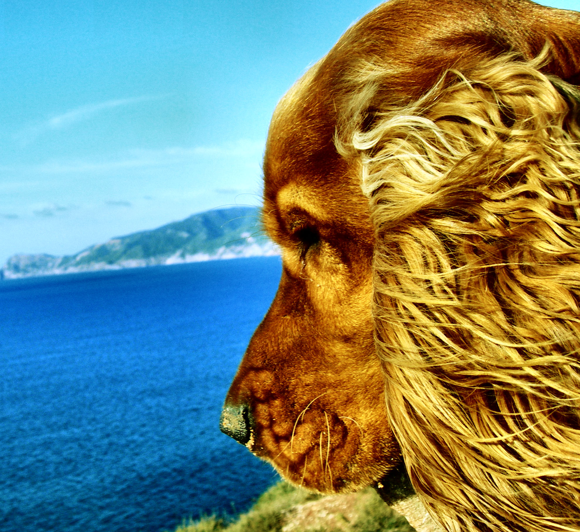 If you could see inside