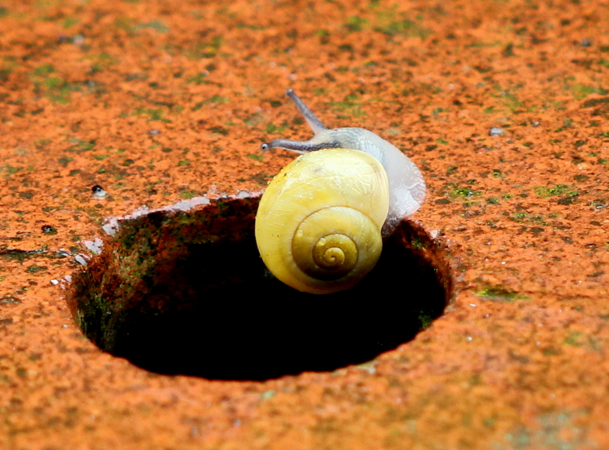 Quando piove esco a fare un giretto