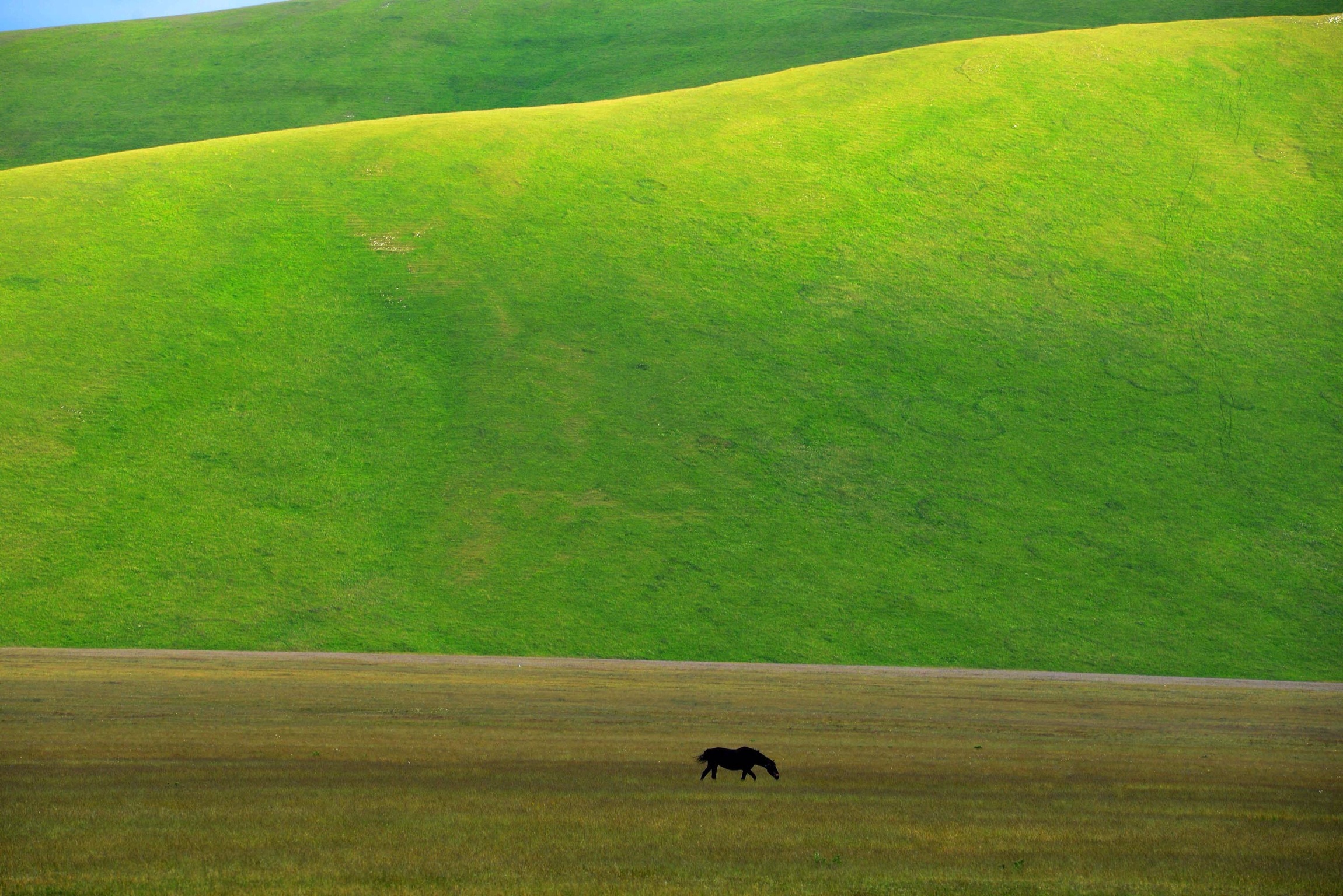 Pian Grande di Castelluccio di Norcia.