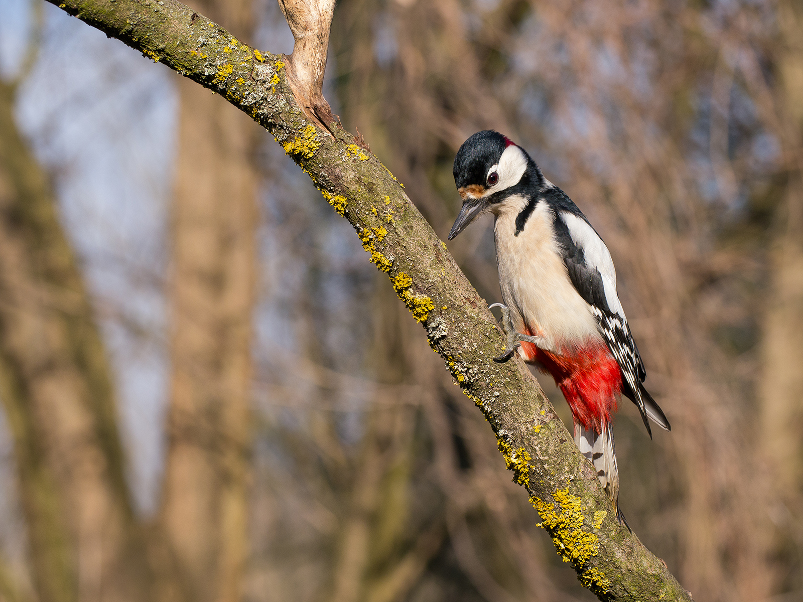 Less than 2 meters ...