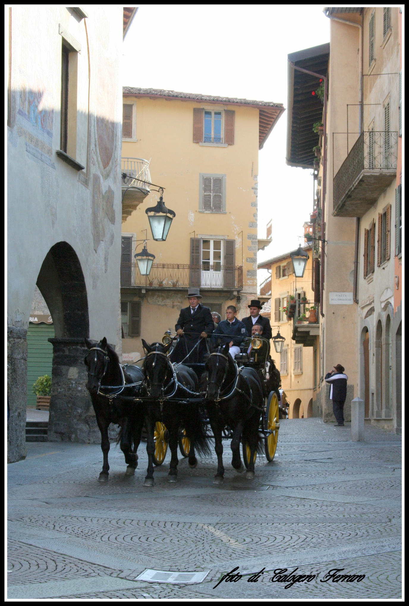 Horses in Clusone