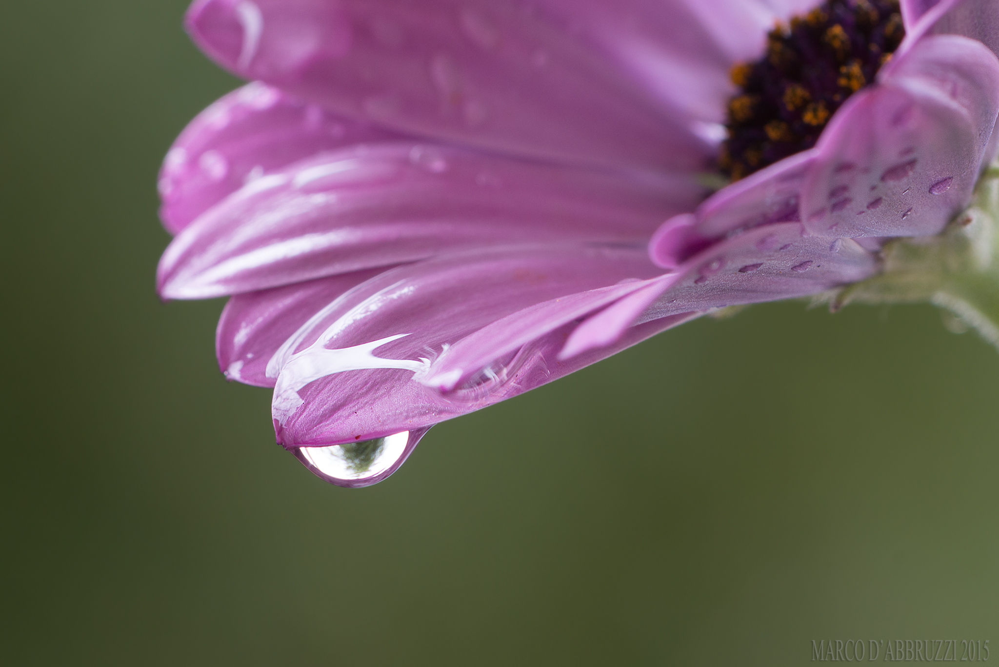 Waiting for spring ...